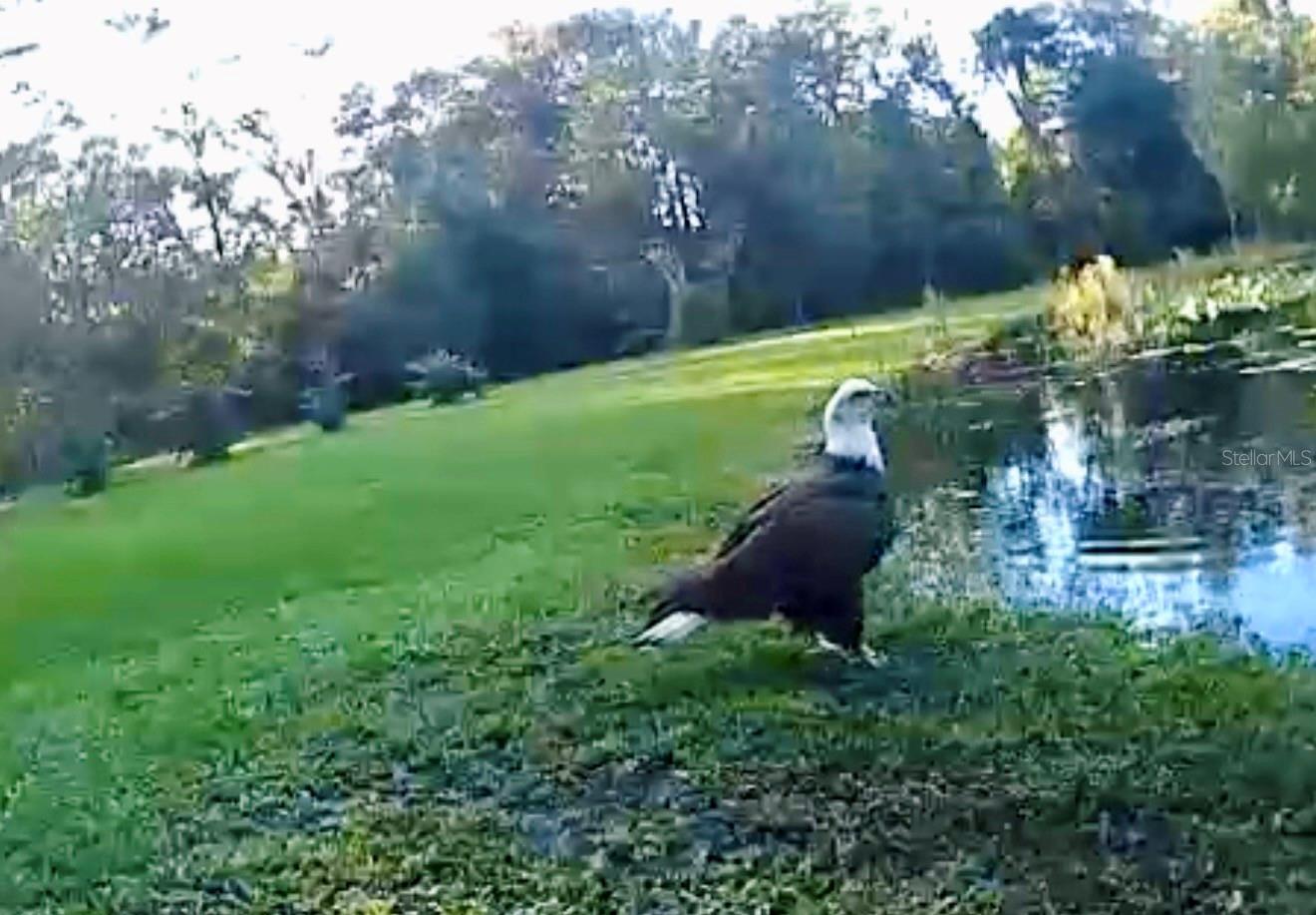 Image 64 of 64 For 37902 Springdale Road