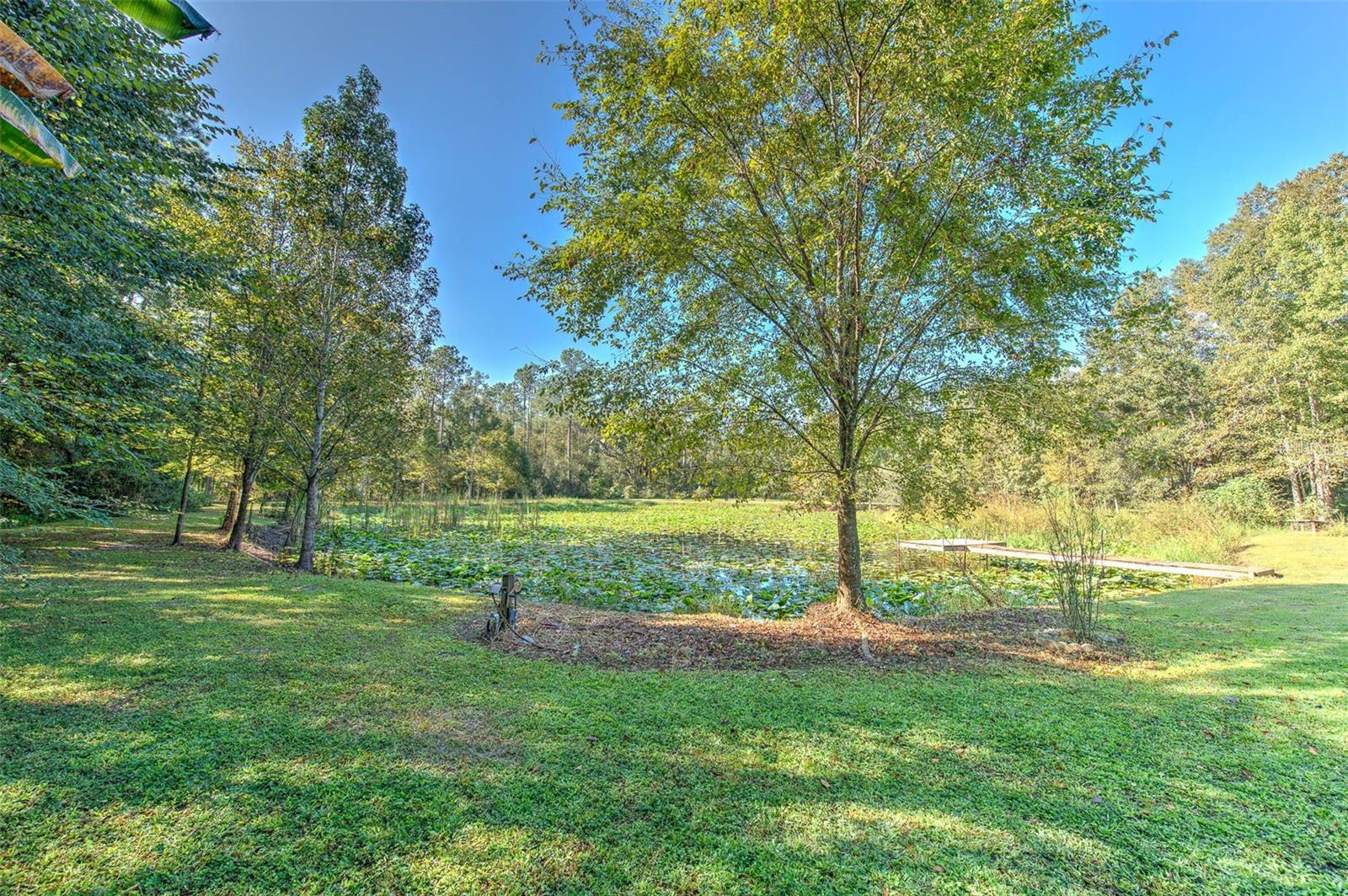 Image 8 of 64 For 37902 Springdale Road