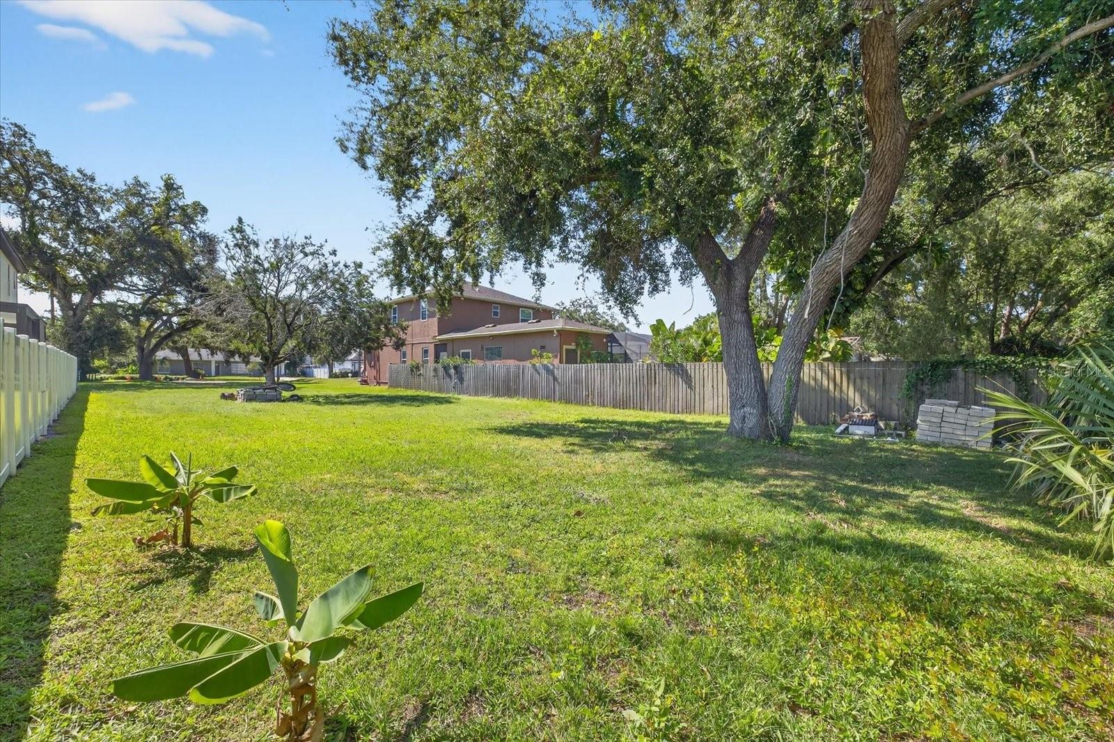 Image 5 of 13 For 8323 Patsy Street