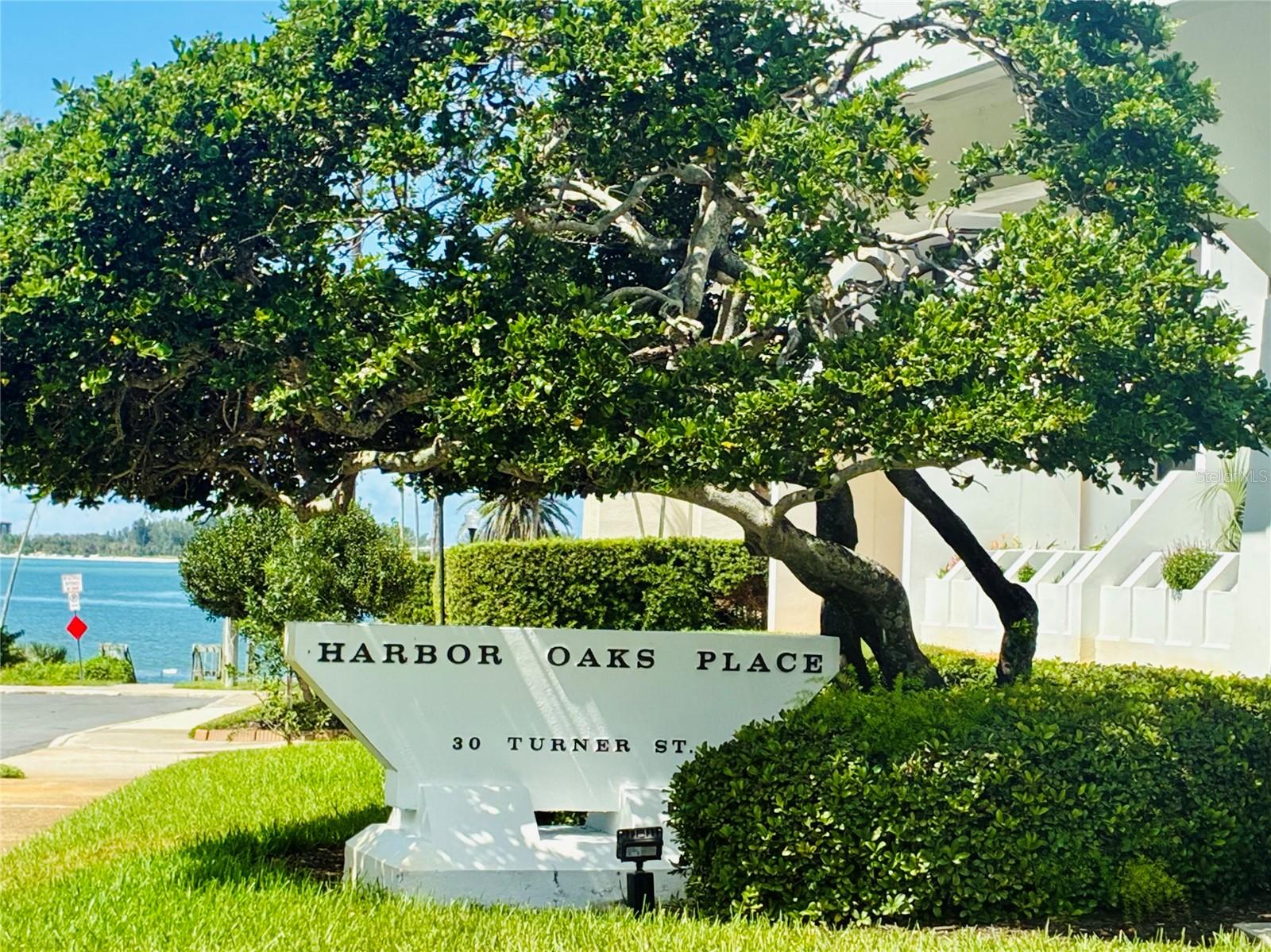 Image 16 of 22 For 30 Turner Street 608