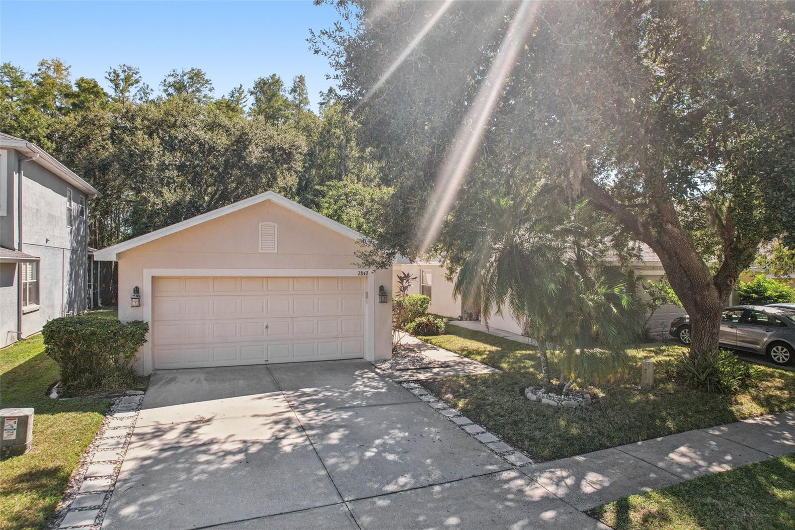 Image 33 of 70 For 7842 Citrus Blossom Drive