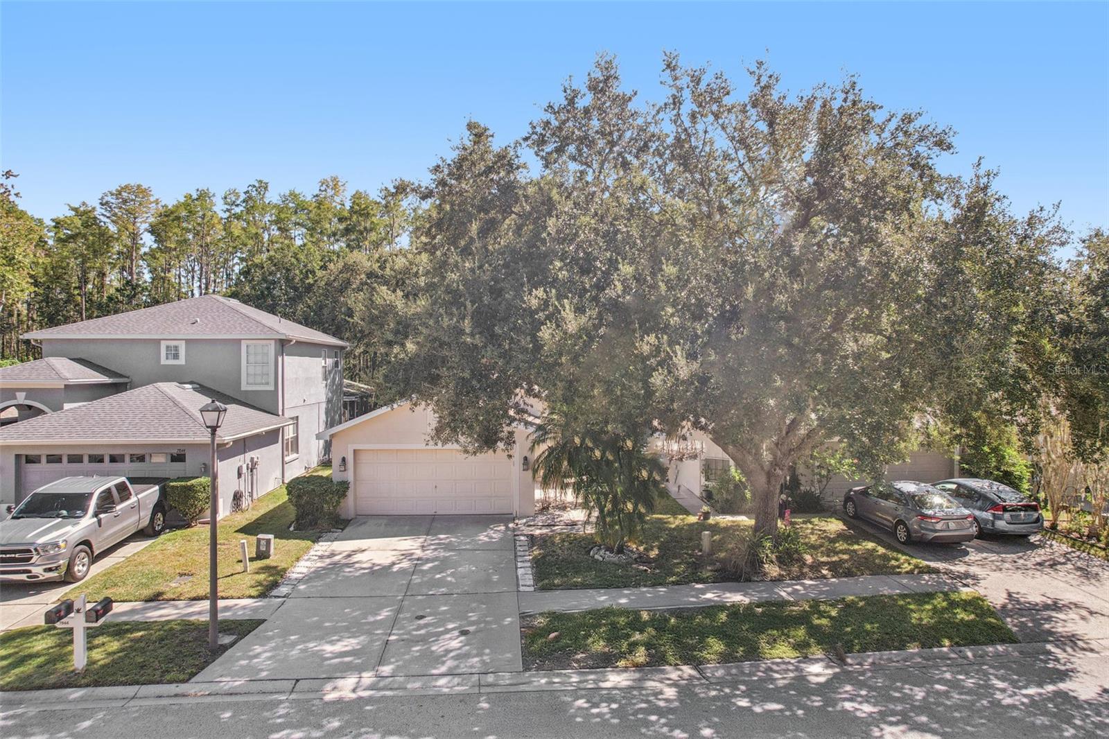 Image 35 of 70 For 7842 Citrus Blossom Drive