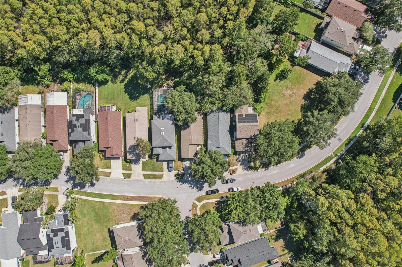 Image 37 of 70 For 7842 Citrus Blossom Drive