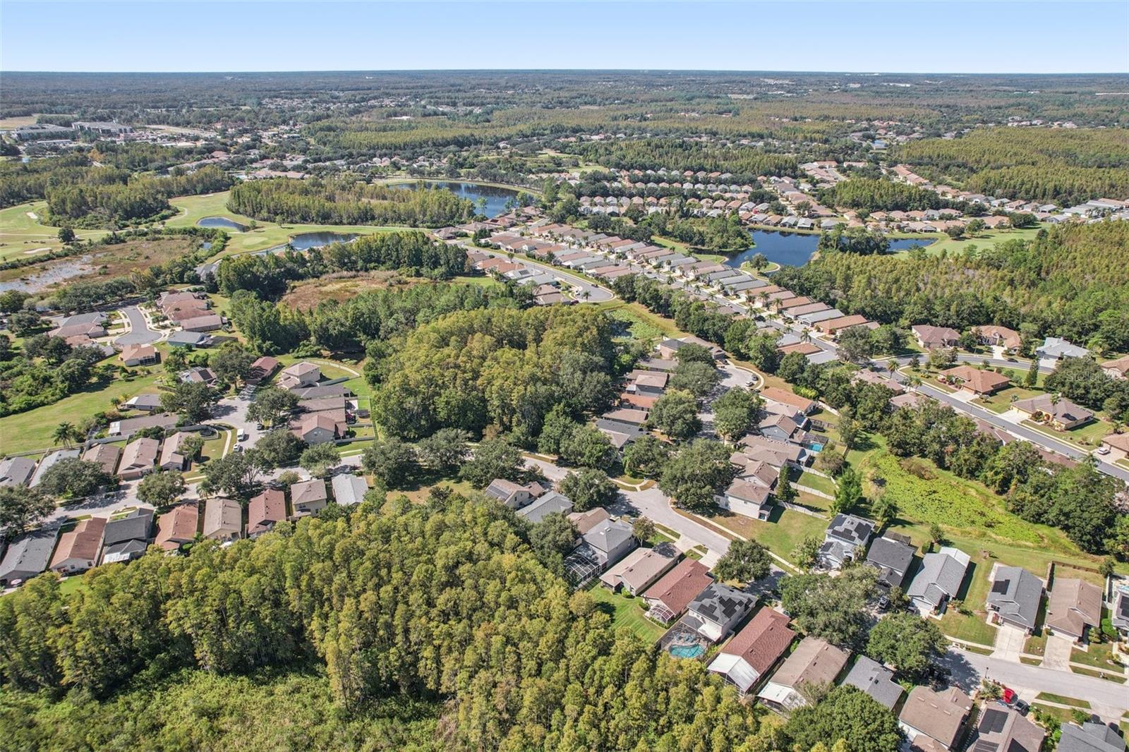 Image 39 of 70 For 7842 Citrus Blossom Drive