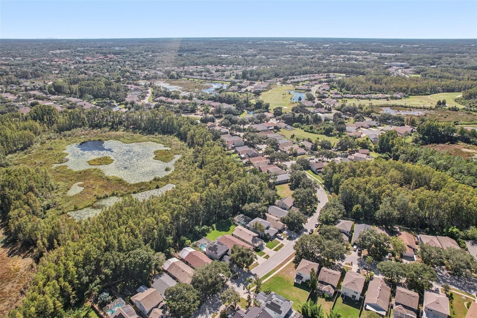 Image 41 of 70 For 7842 Citrus Blossom Drive