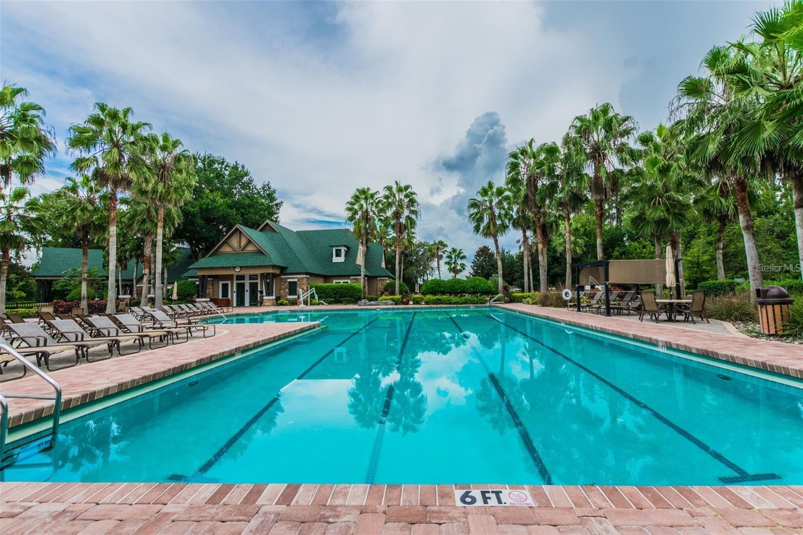 Image 47 of 70 For 7842 Citrus Blossom Drive