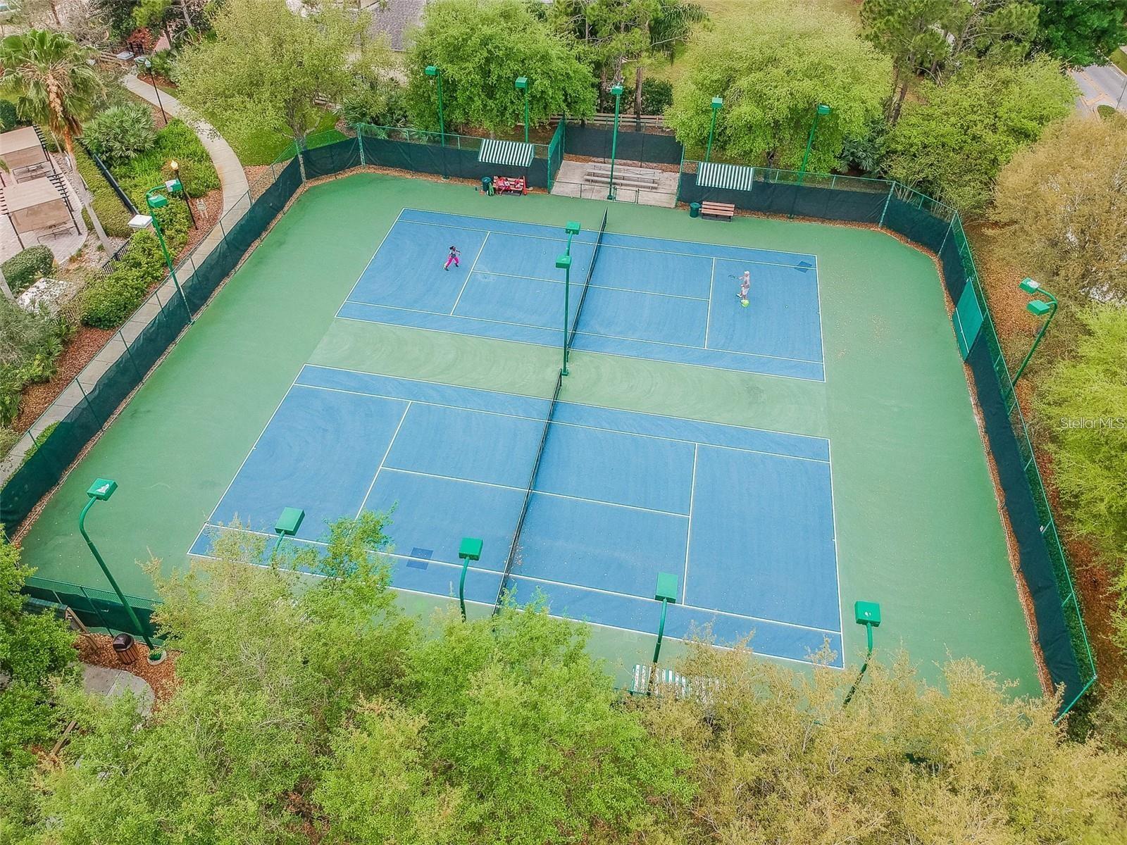 Image 53 of 70 For 7842 Citrus Blossom Drive