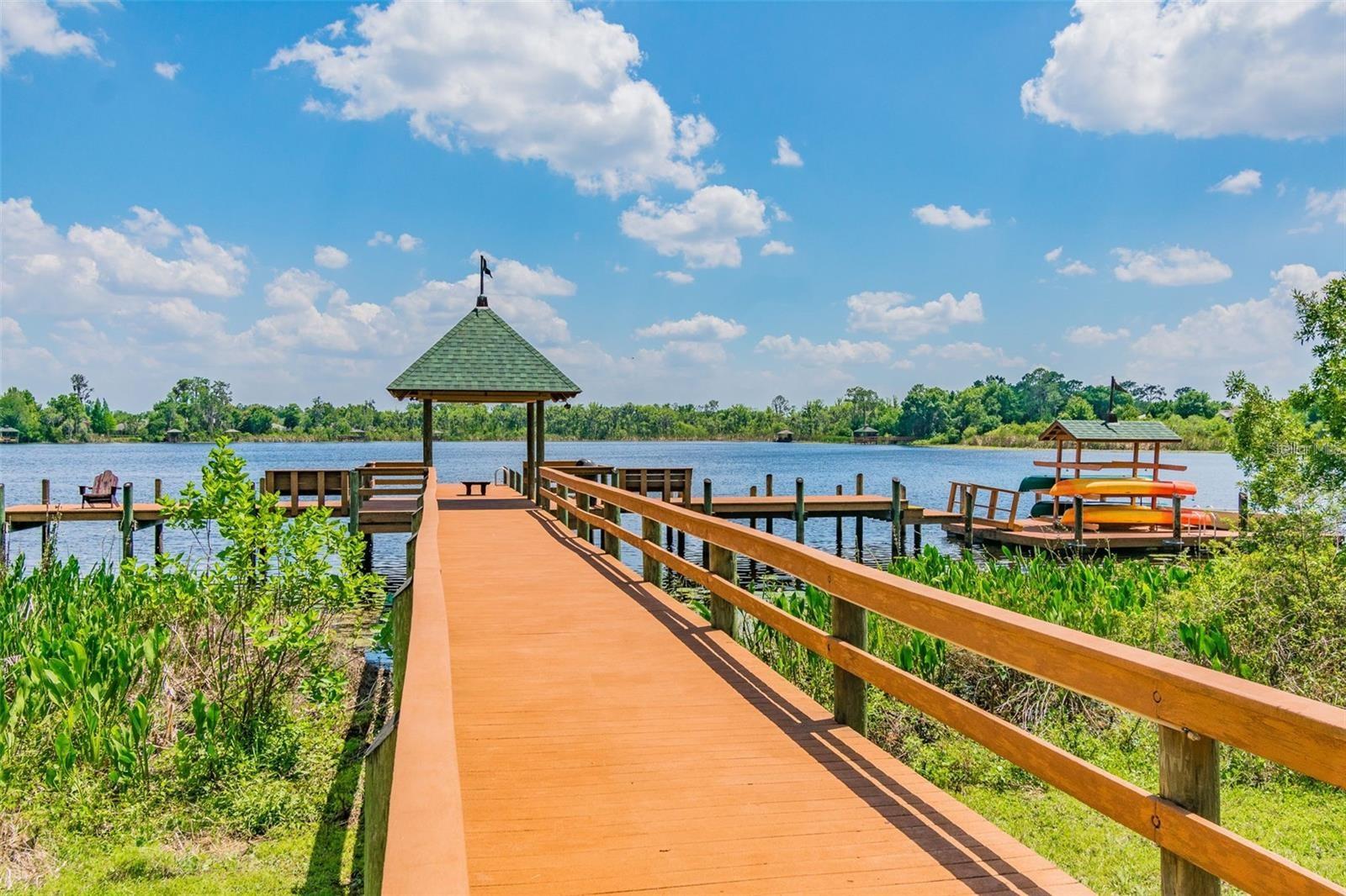 Image 54 of 70 For 7842 Citrus Blossom Drive