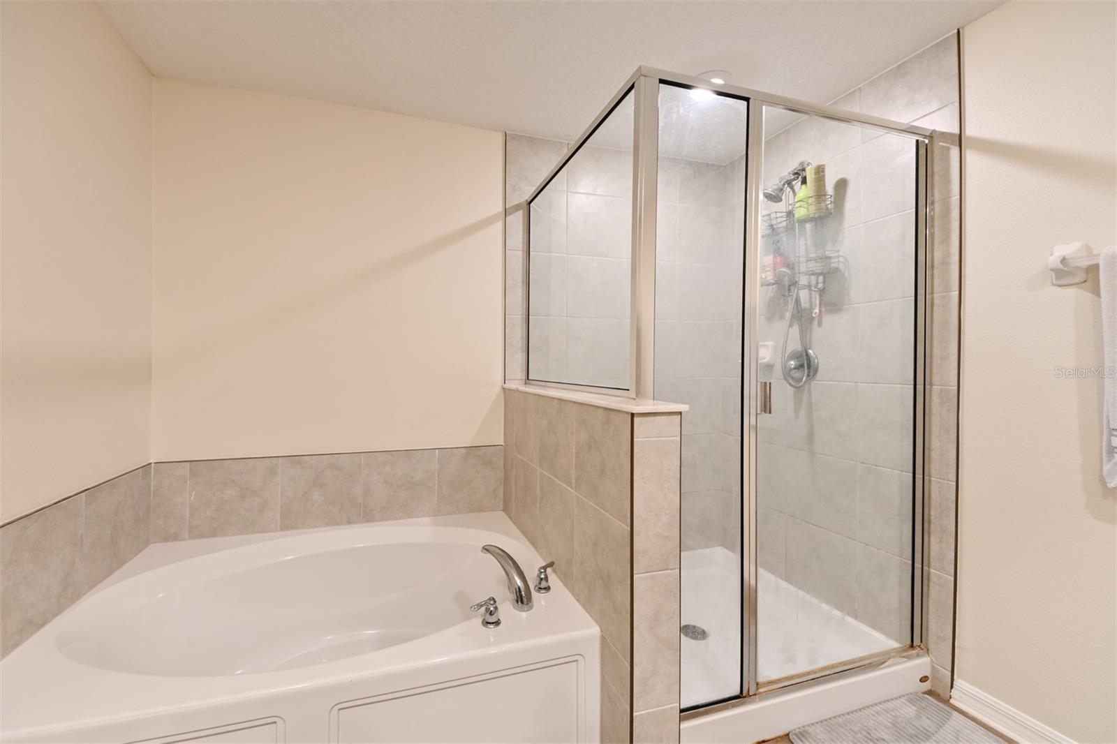 Image 16 of 43 For 736 Royal Empress Drive