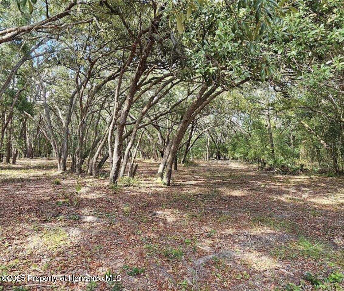 Image 3 of 6 For 33175 Faculty Street