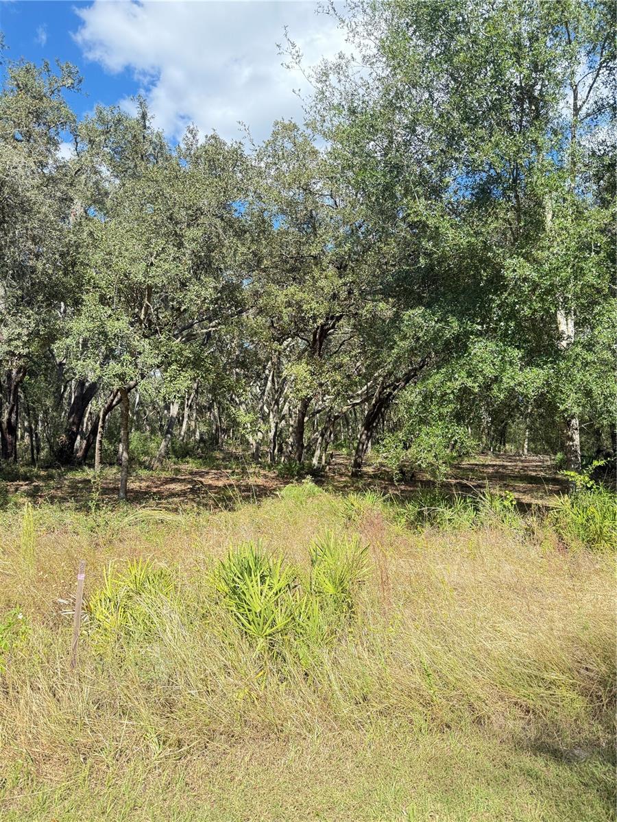 Image 5 of 6 For 33175 Faculty Street