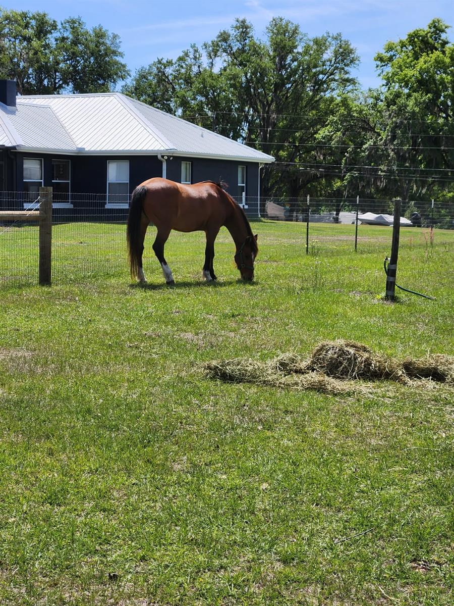 Image 57 of 59 For 5485 145th Street