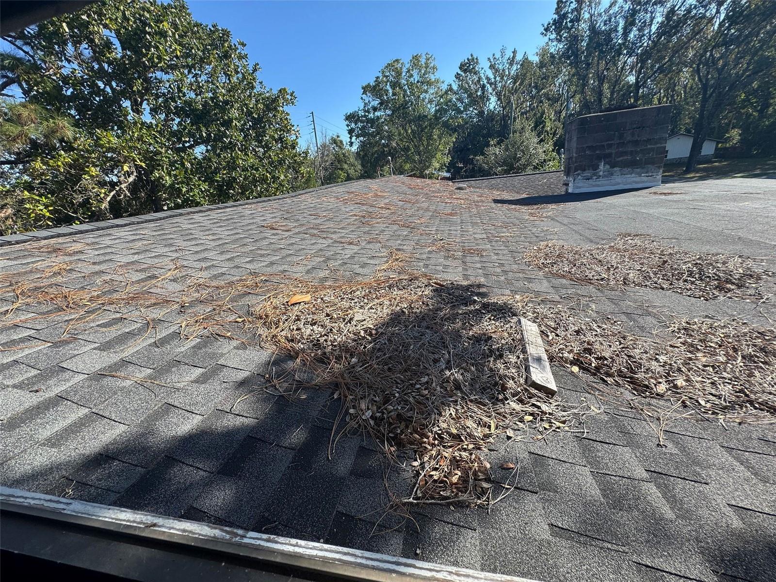 Image 44 of 58 For 1106 8th Avenue