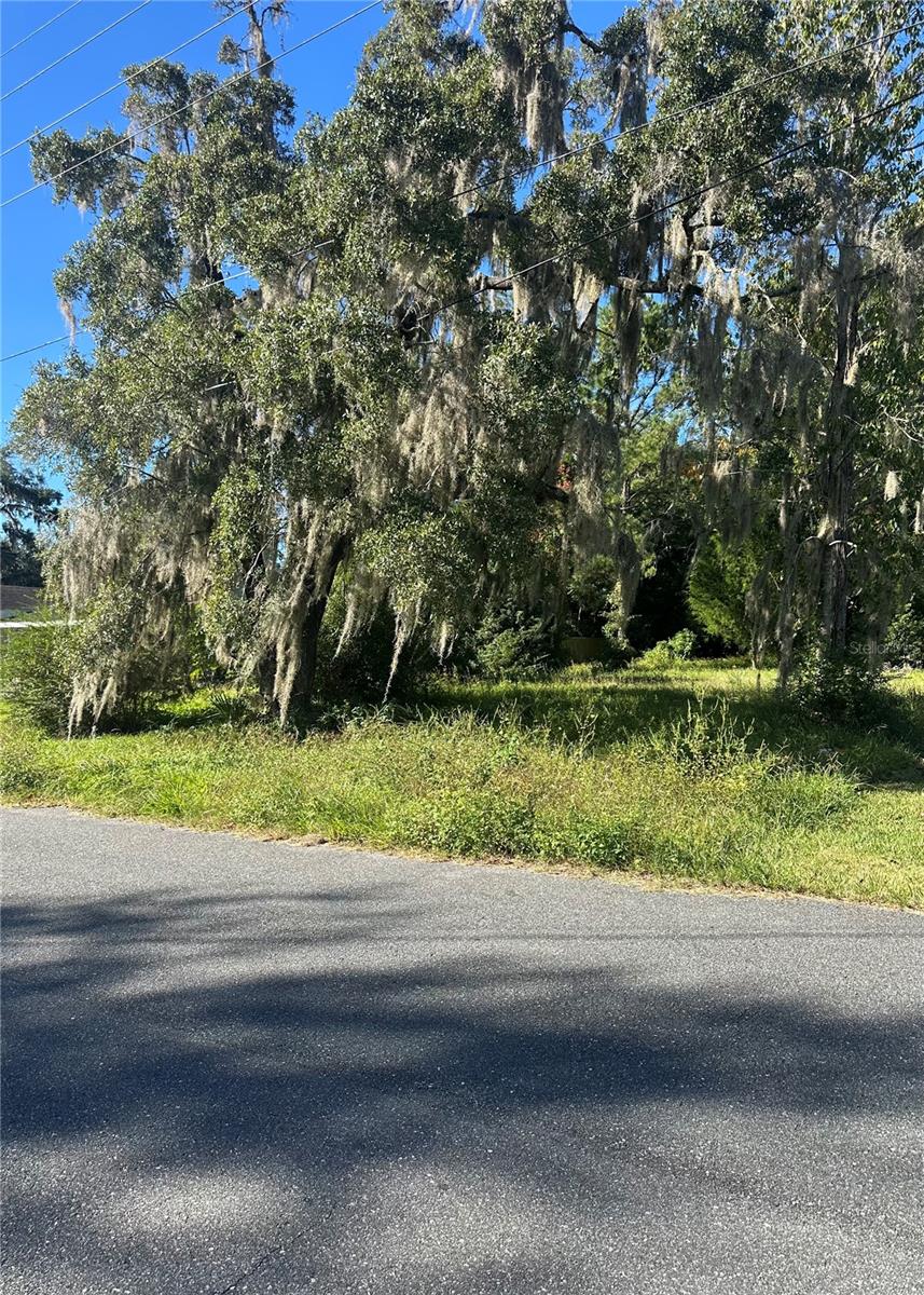 Details for Lot 8 1st Street, WILLISTON, FL 32696