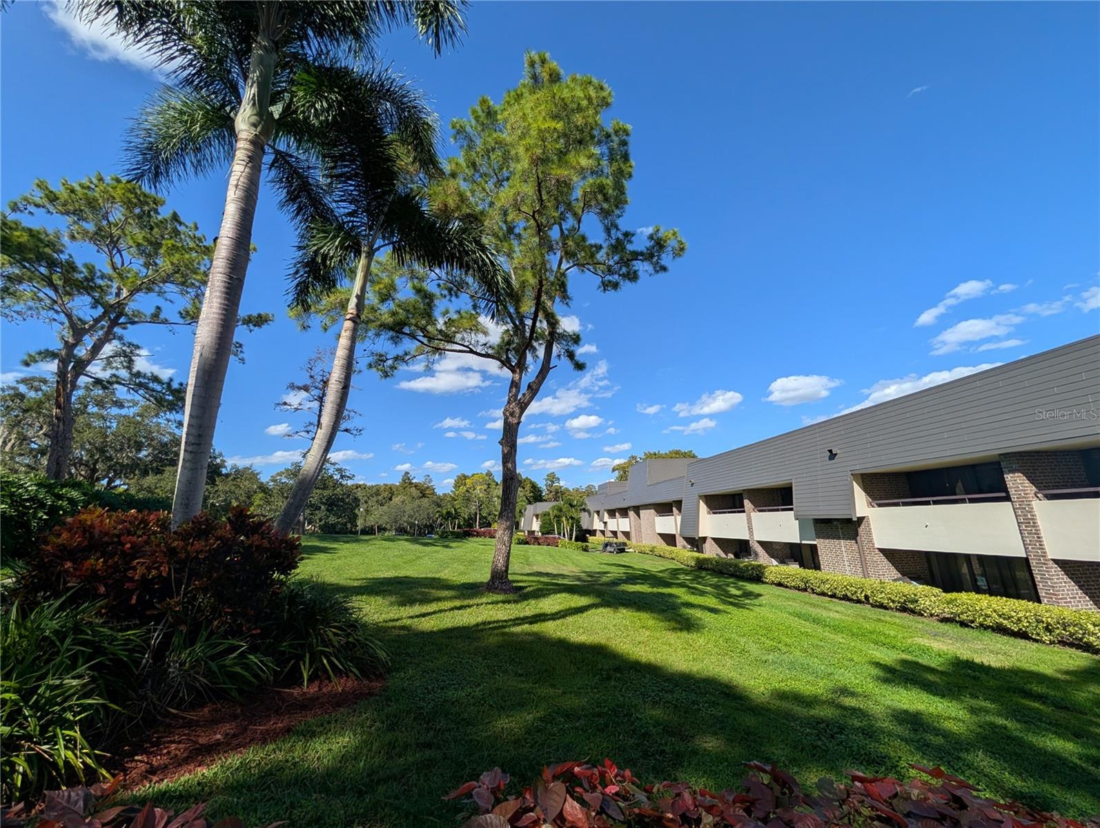 Details for 36750 Us Highway 19 N 4-221, PALM HARBOR, FL 34683