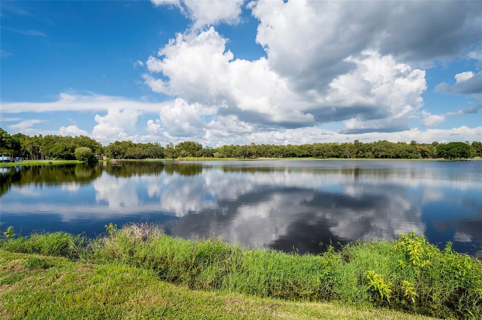 Image 29 of 45 For 36750 Us Highway 19 N 4-221