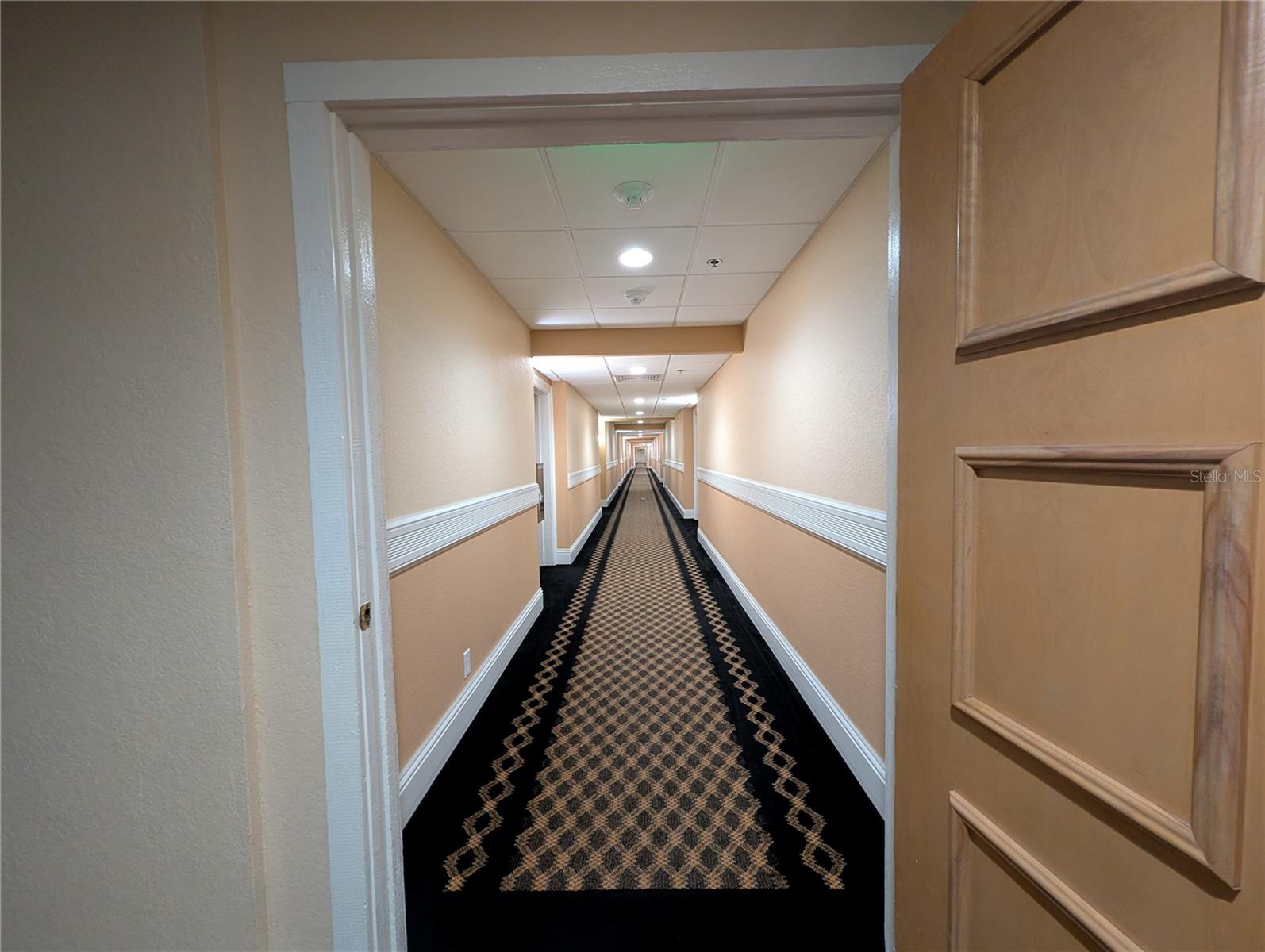 Image 35 of 45 For 36750 Us Highway 19 N 4-221