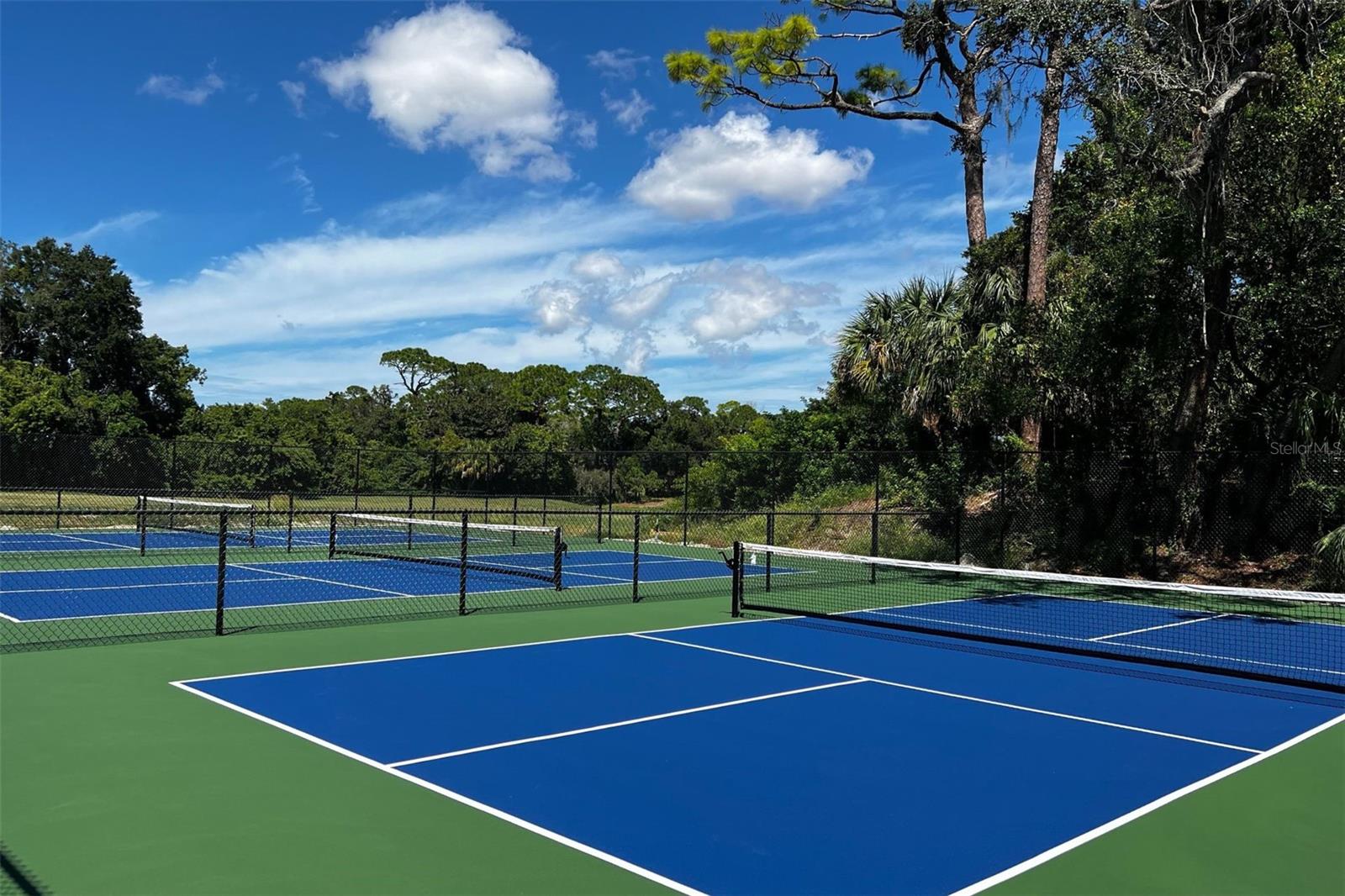 Image 37 of 45 For 36750 Us Highway 19 N 4-221