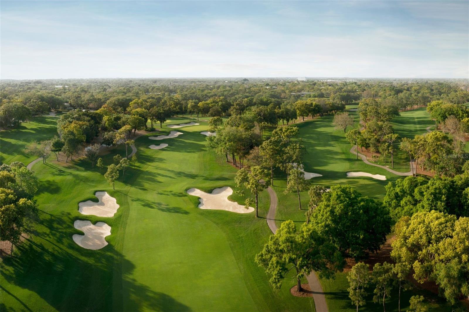 Image 39 of 45 For 36750 Us Highway 19 N 4-221