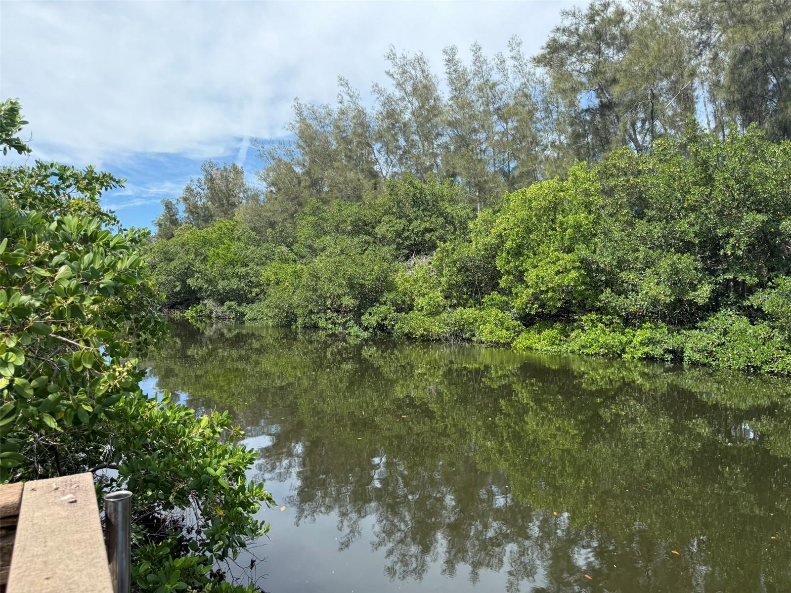 Image 49 of 51 For 1070 Sanabel Court Ne