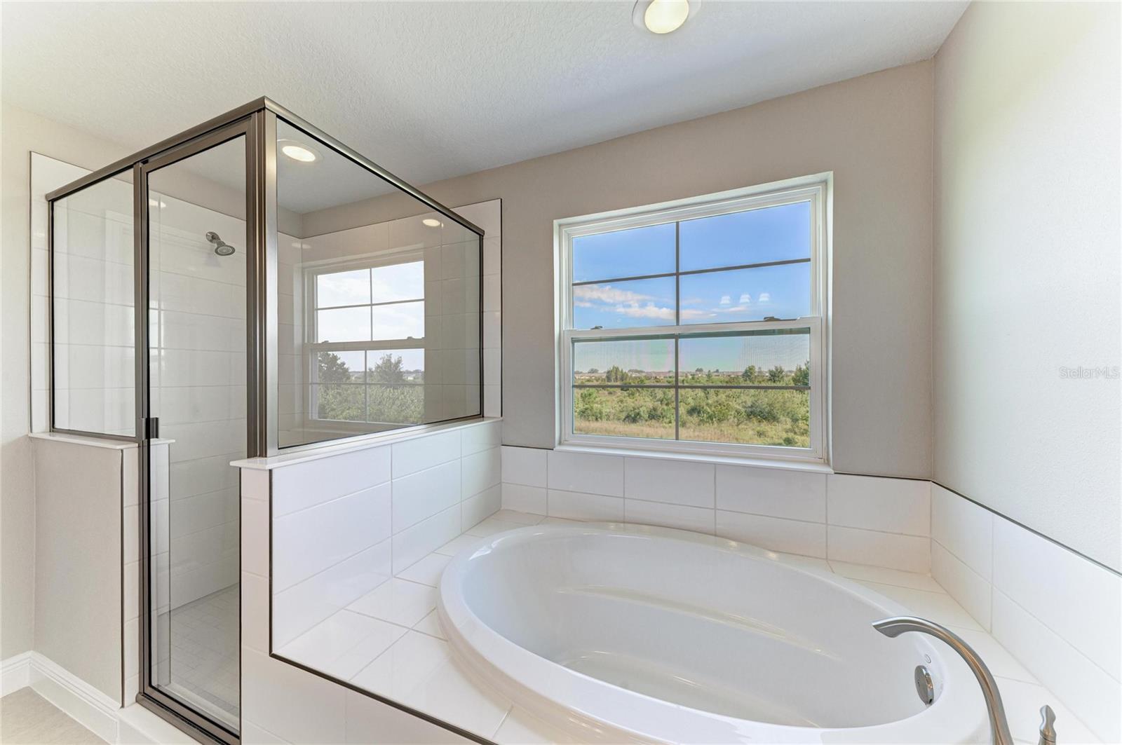 Image 9 of 49 For 9723 Surrey Rose Drive