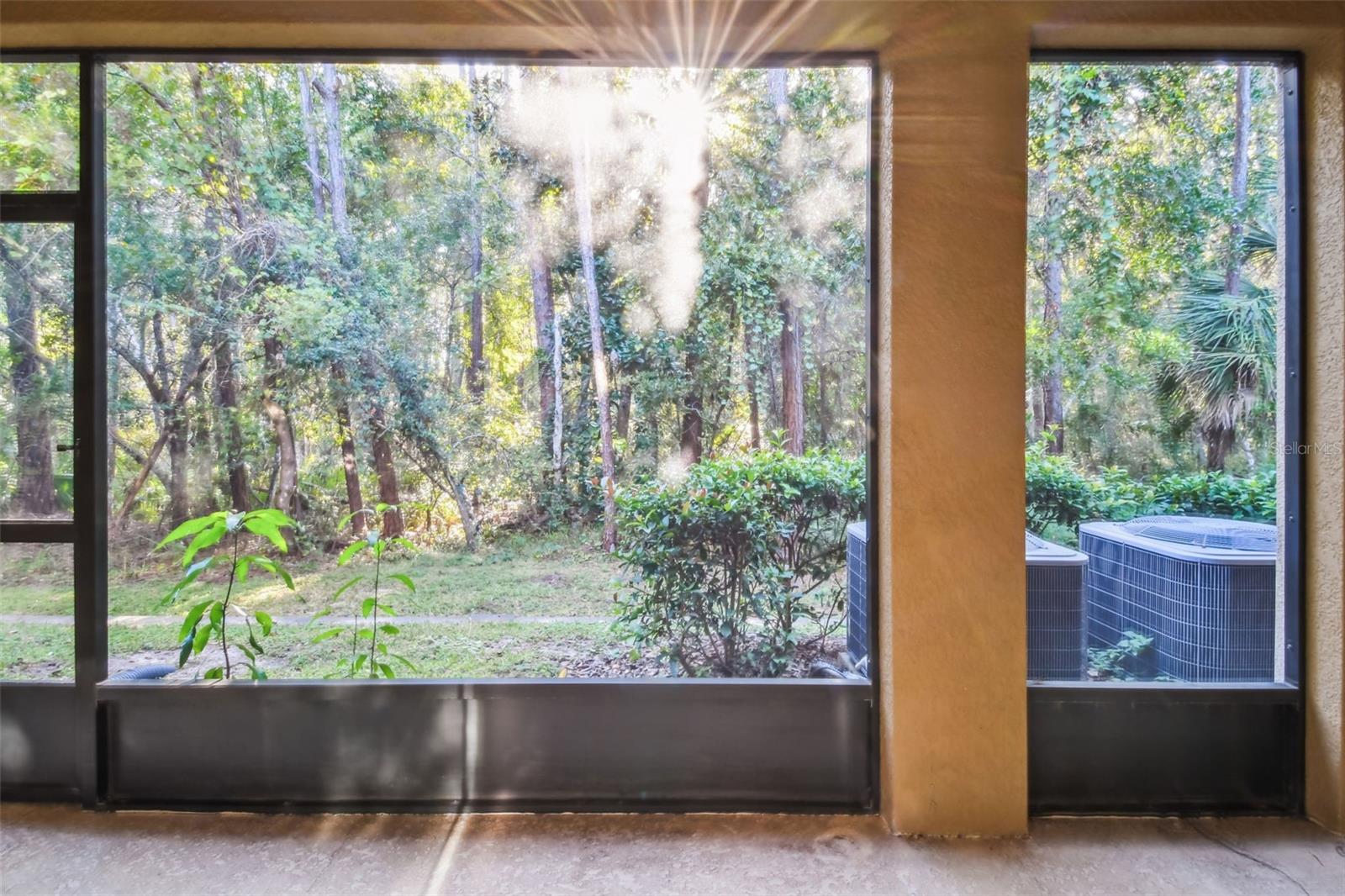 Image 15 of 61 For 17856 Althea Blue Place