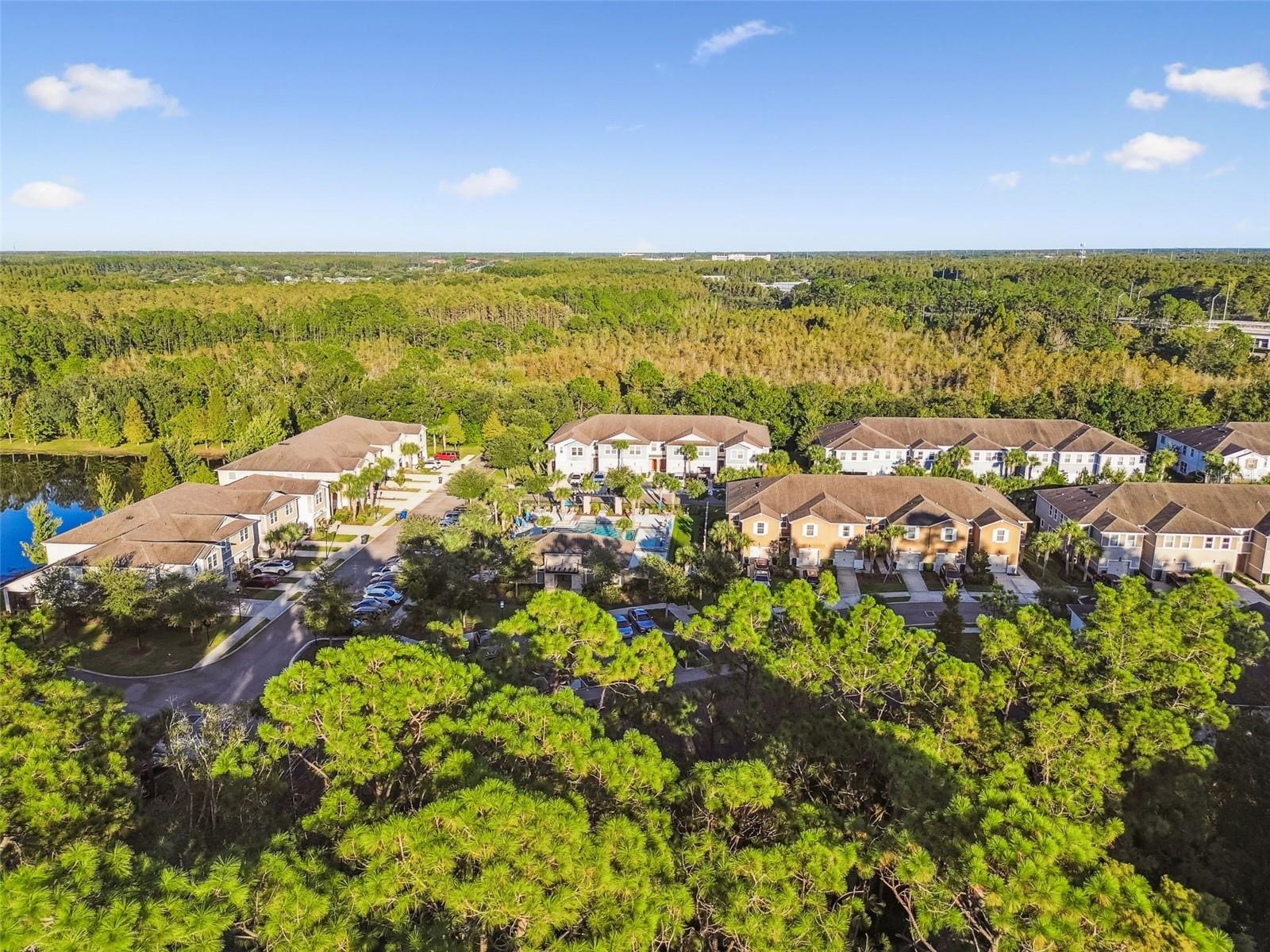 Image 48 of 61 For 17856 Althea Blue Place