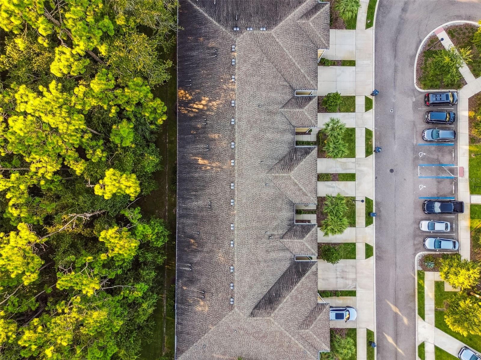 Image 51 of 61 For 17856 Althea Blue Place