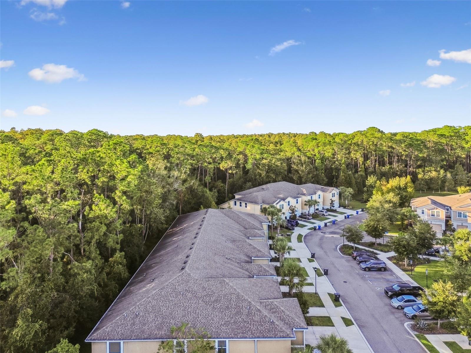 Image 54 of 61 For 17856 Althea Blue Place