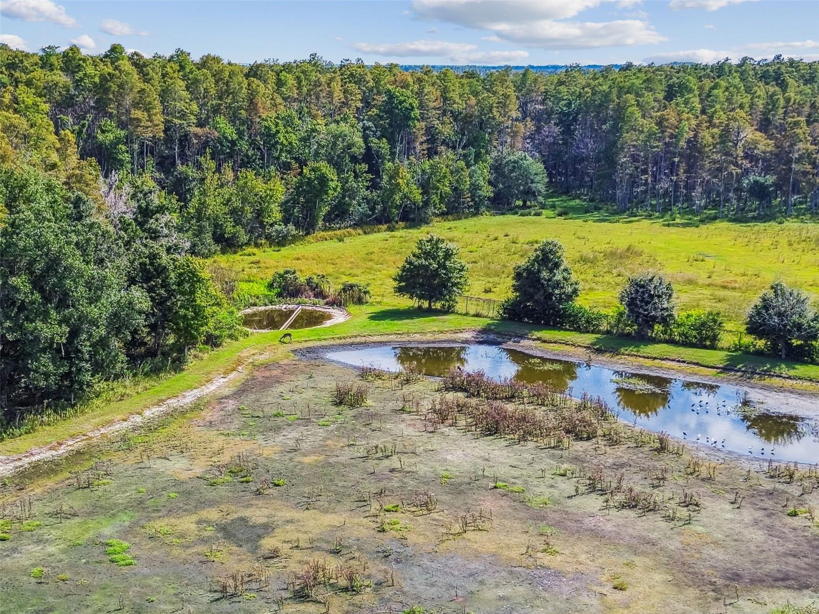 Image 84 of 100 For 11737 Crestridge Loop