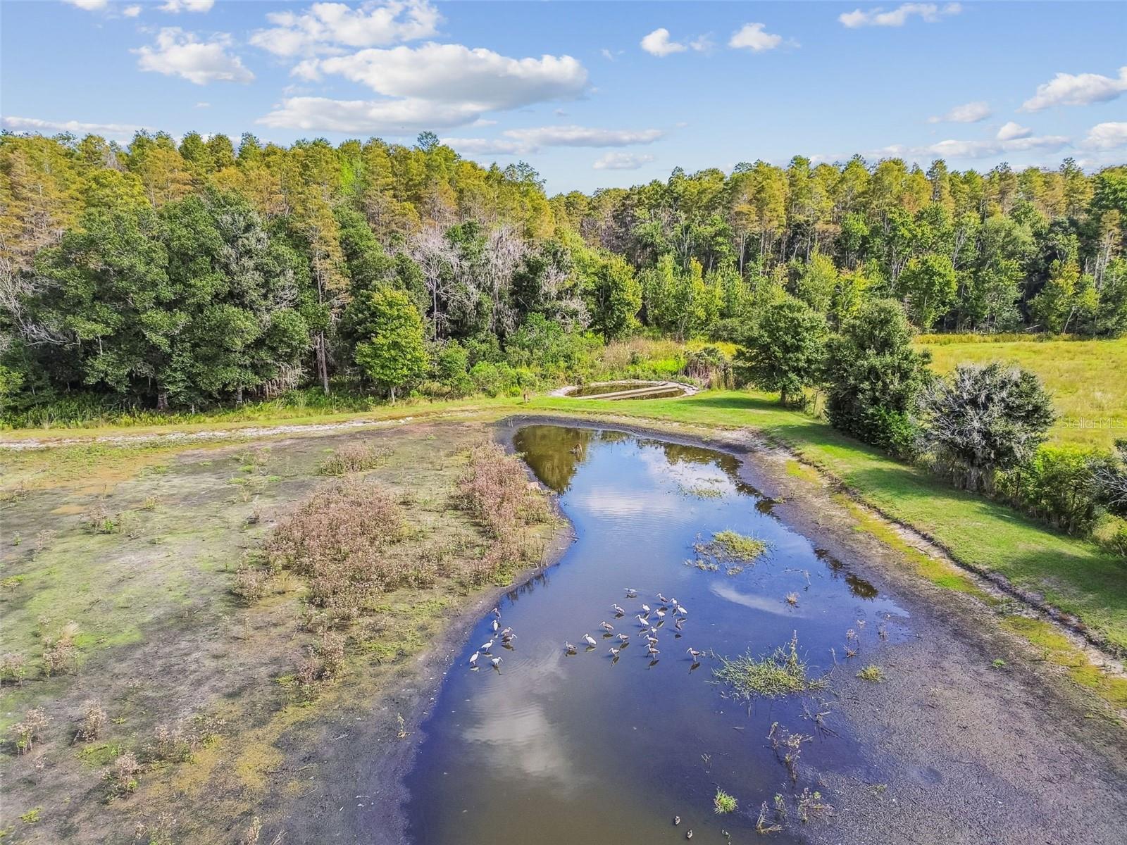 Image 85 of 100 For 11737 Crestridge Loop
