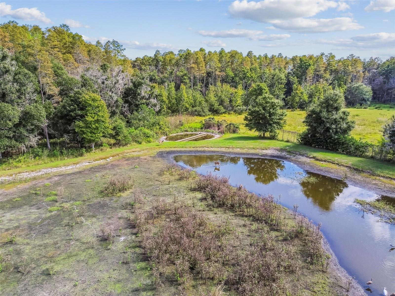 Image 86 of 100 For 11737 Crestridge Loop