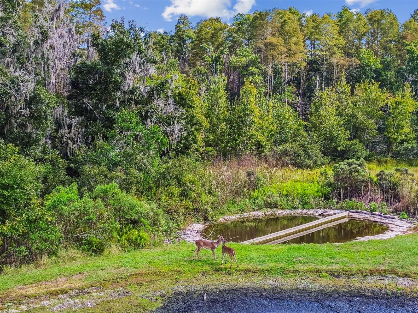 Image 87 of 100 For 11737 Crestridge Loop