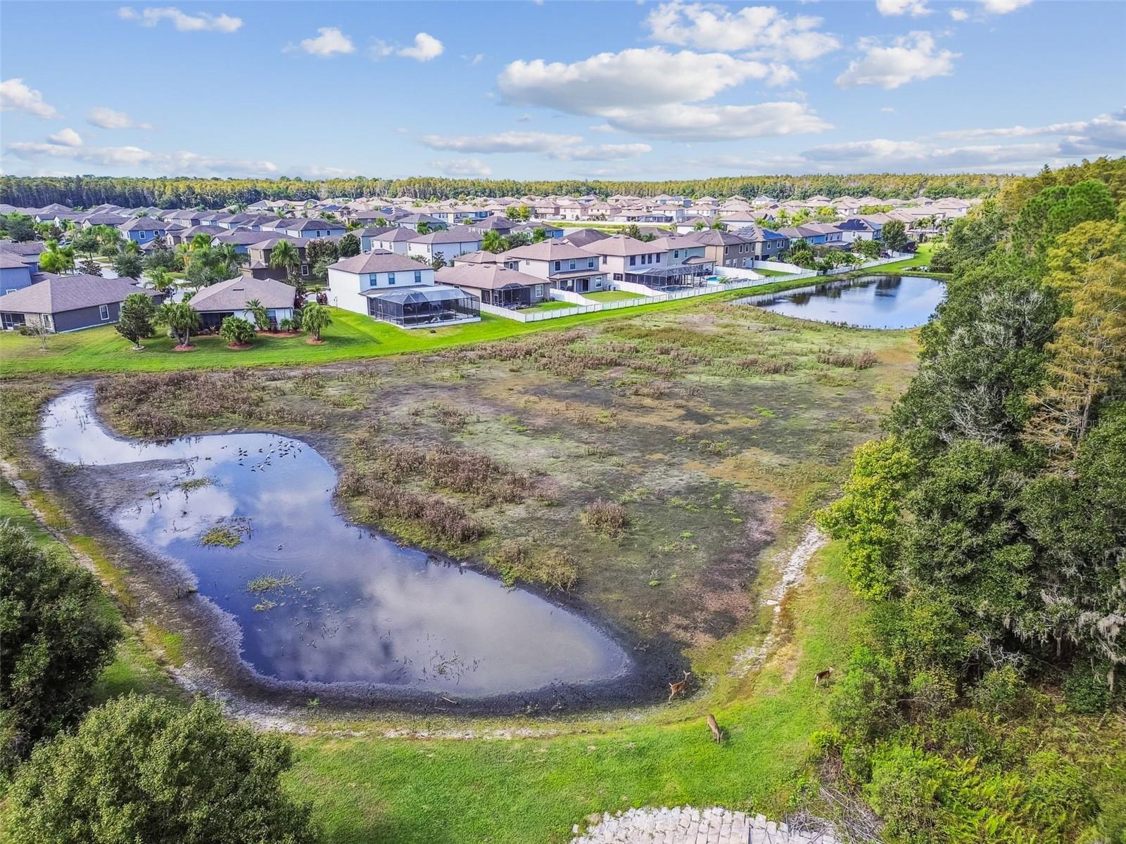 Image 90 of 100 For 11737 Crestridge Loop