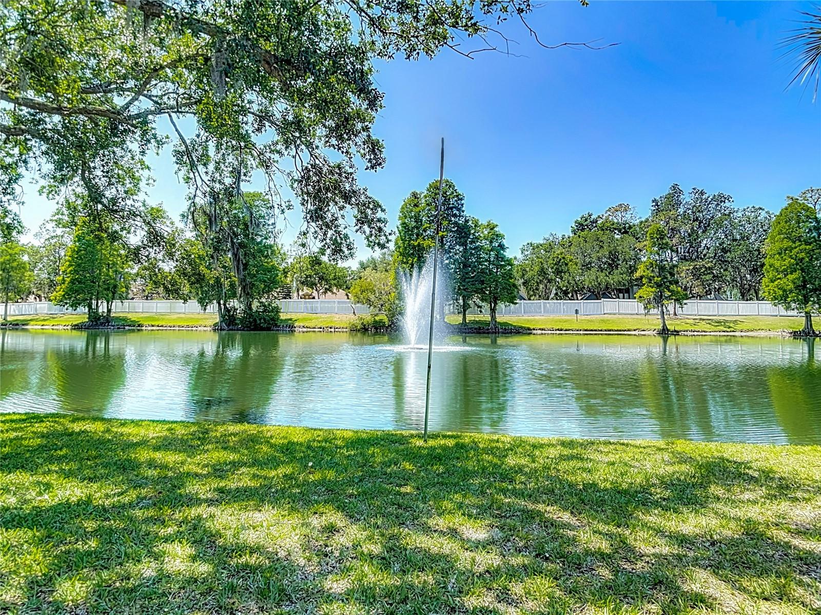 Image 51 of 65 For 3611 Pine Knot Drive .