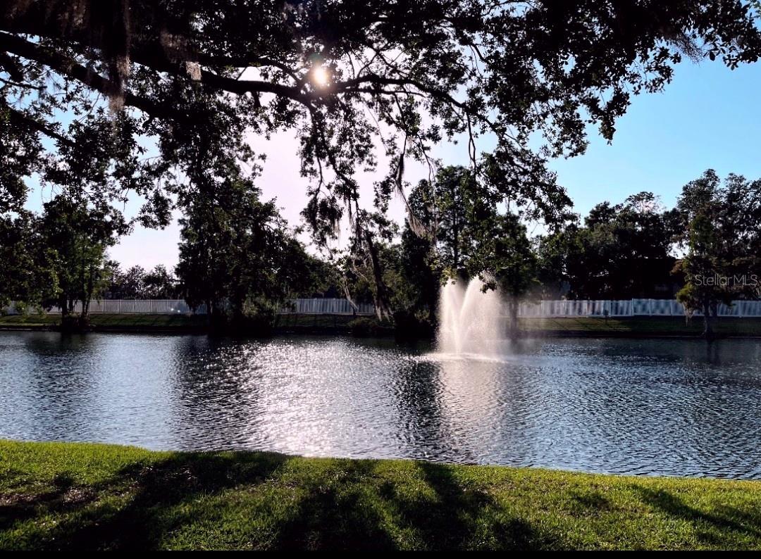 Image 53 of 65 For 3611 Pine Knot Drive .