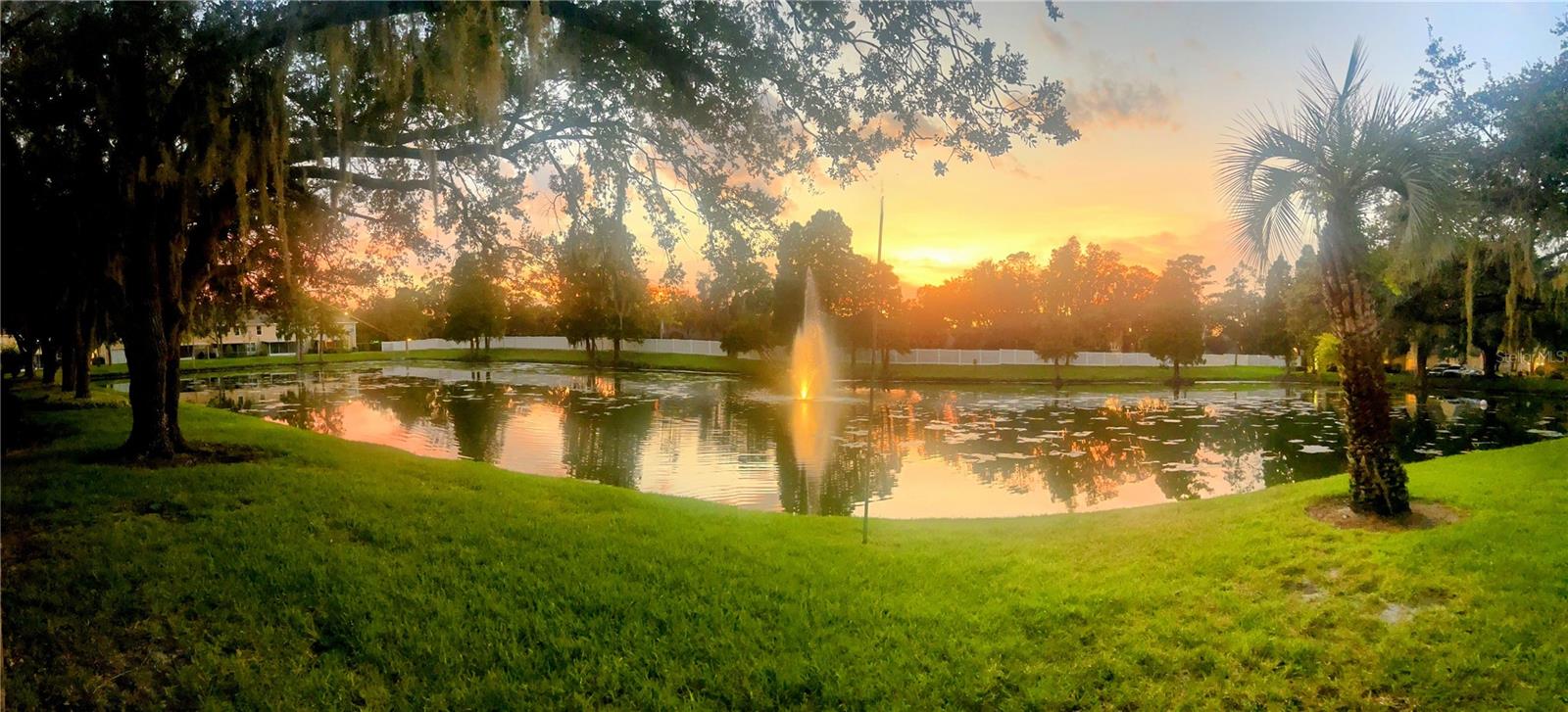 Image 54 of 65 For 3611 Pine Knot Drive .