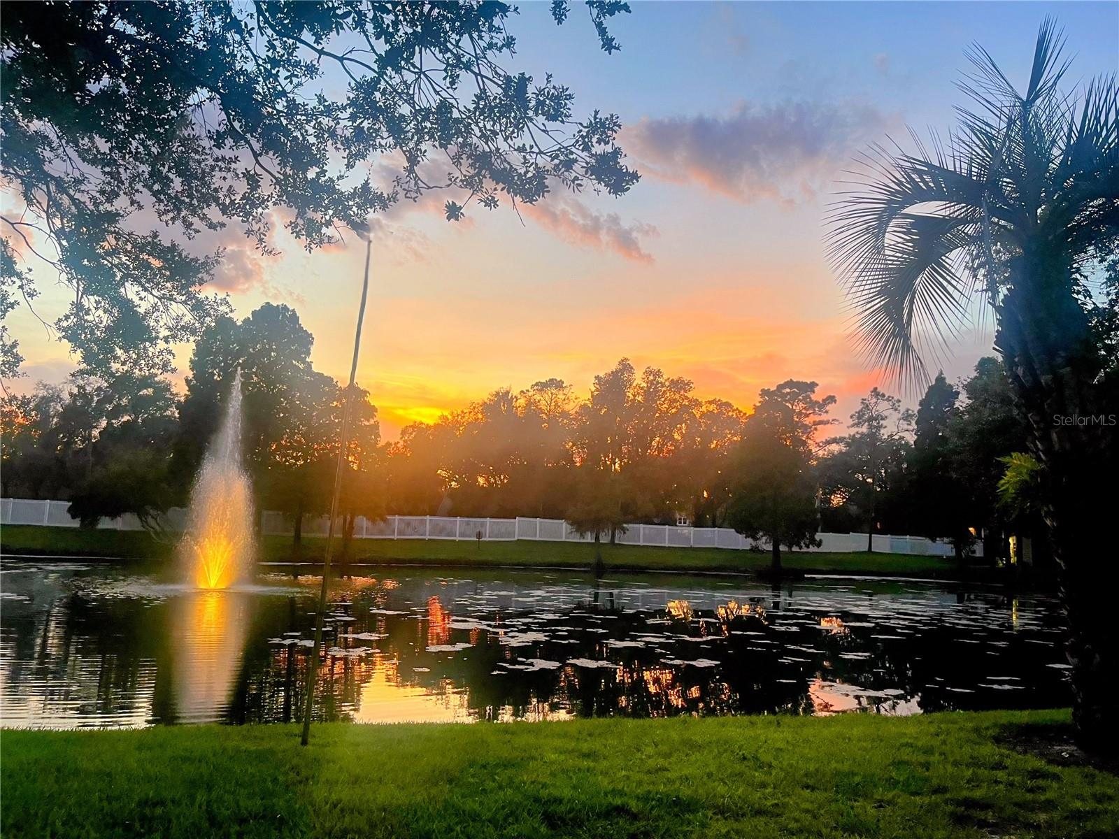 Image 55 of 65 For 3611 Pine Knot Drive .