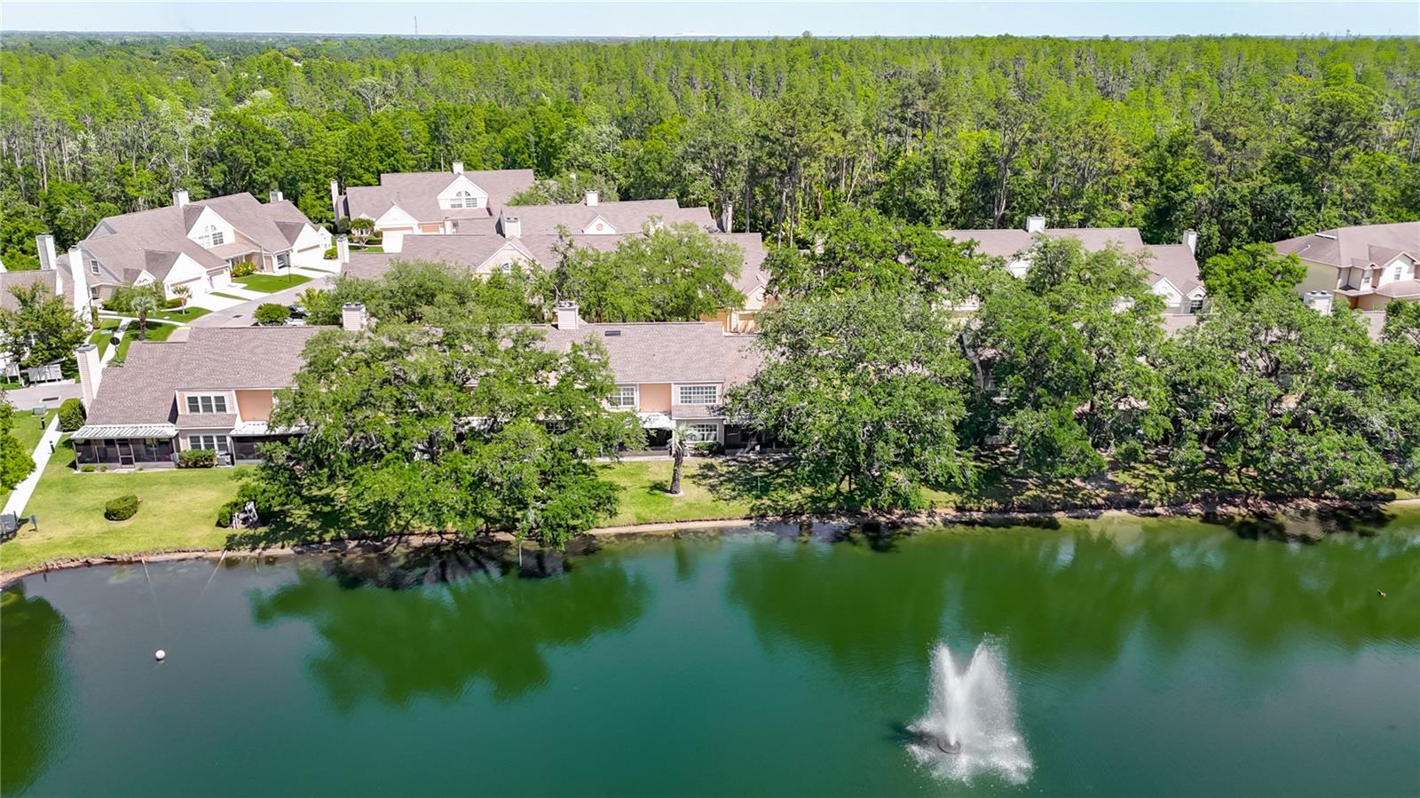 Image 61 of 65 For 3611 Pine Knot Drive .