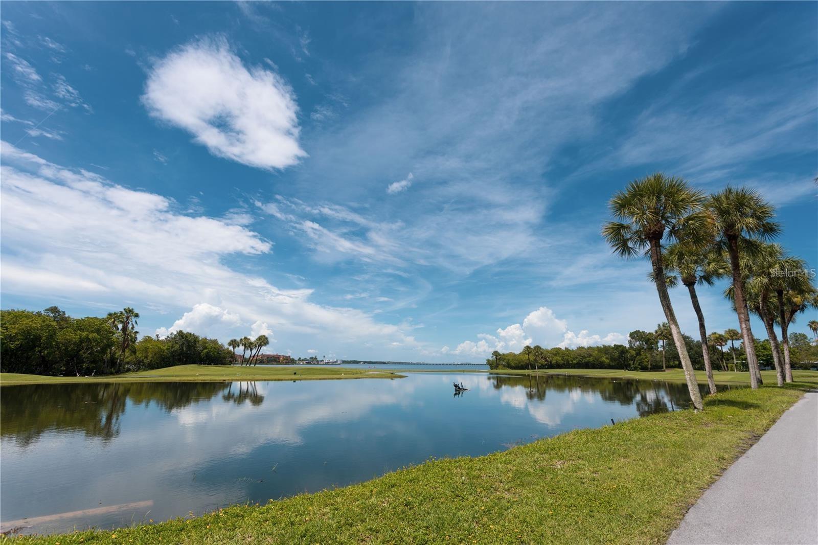 Image 16 of 16 For 2900 Cove Cay Drive 2f