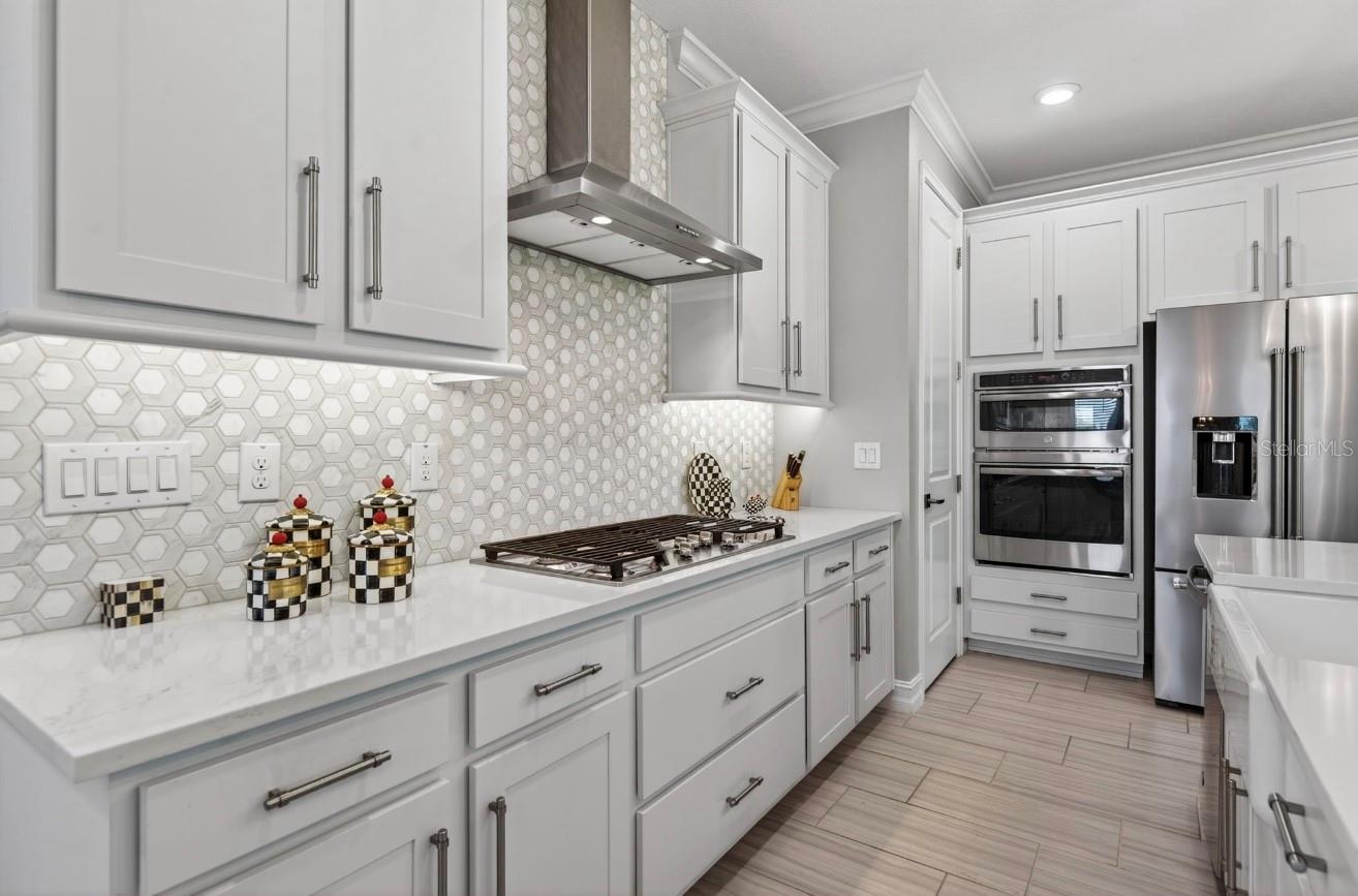 Image 62 of 63 For 19700 Roseate Drive