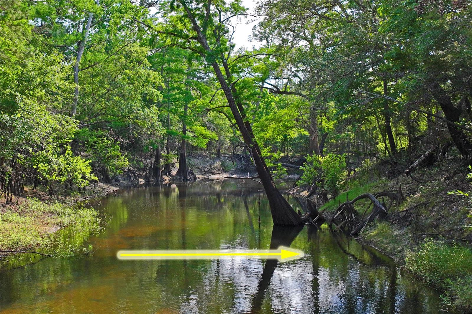 Image 61 of 72 For 3431 Riderwood Dr