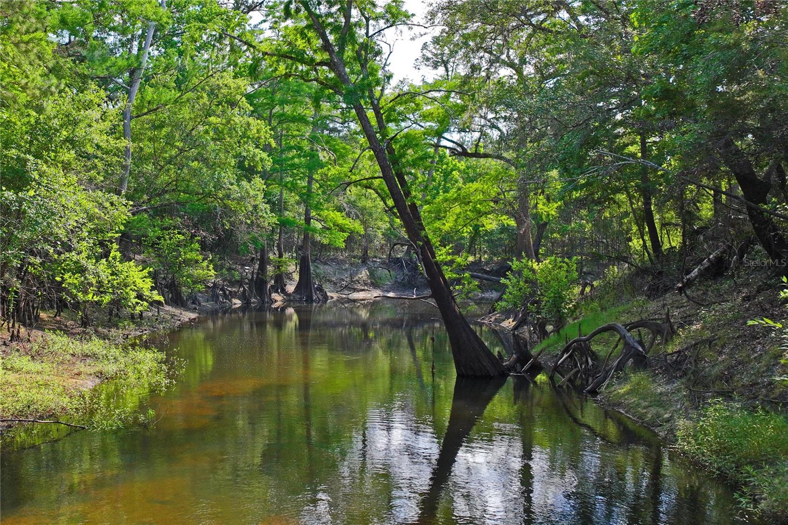 Image 62 of 72 For 3431 Riderwood Dr