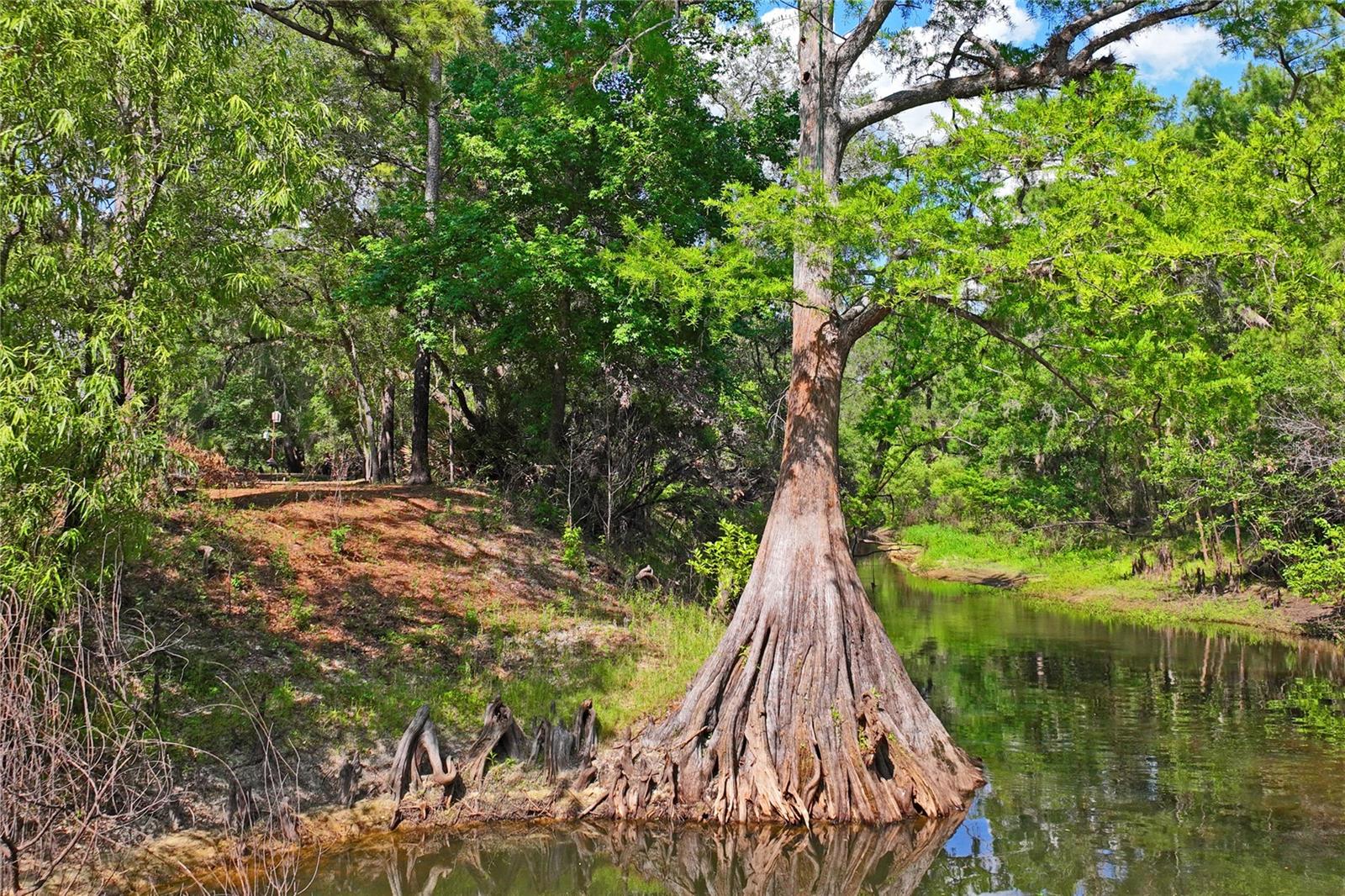 Image 66 of 72 For 3431 Riderwood Dr