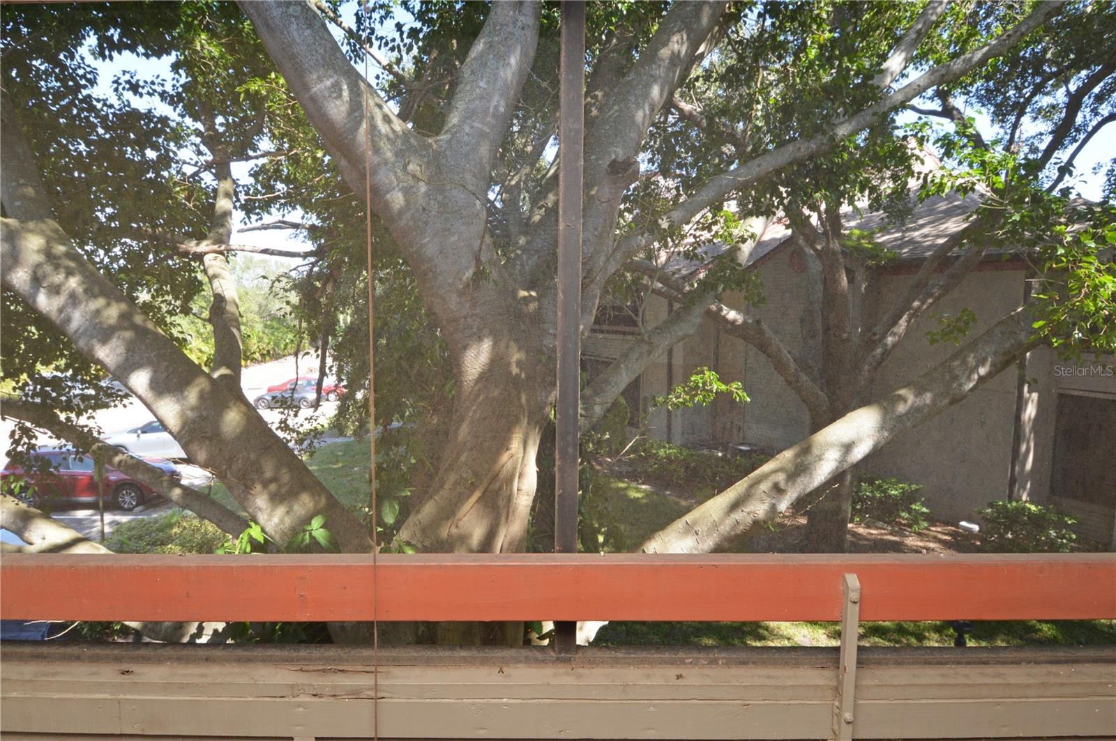 Image 53 of 100 For 10263 Gandy Boulevard N 2016