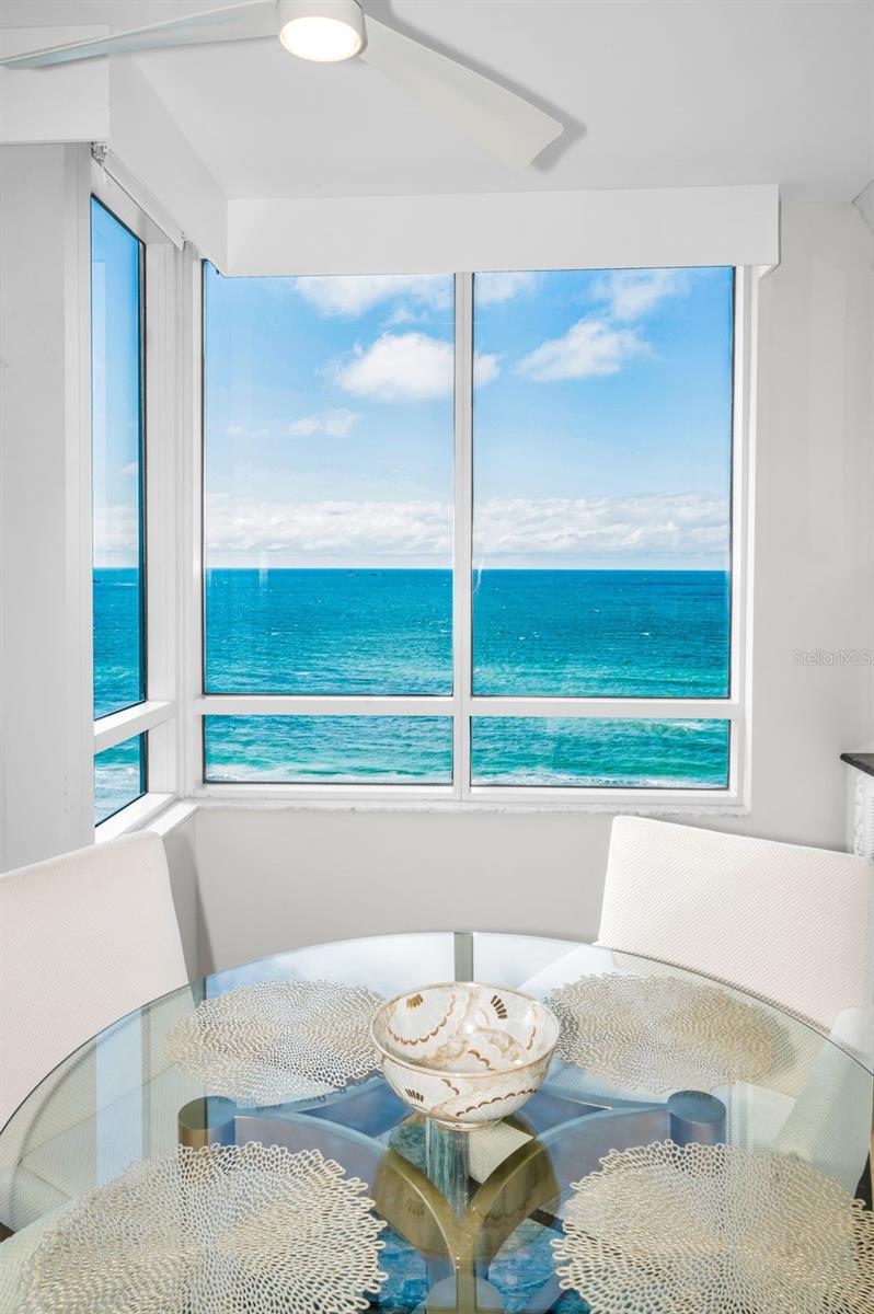 Image 46 of 98 For 1520 Gulf Boulevard 1101