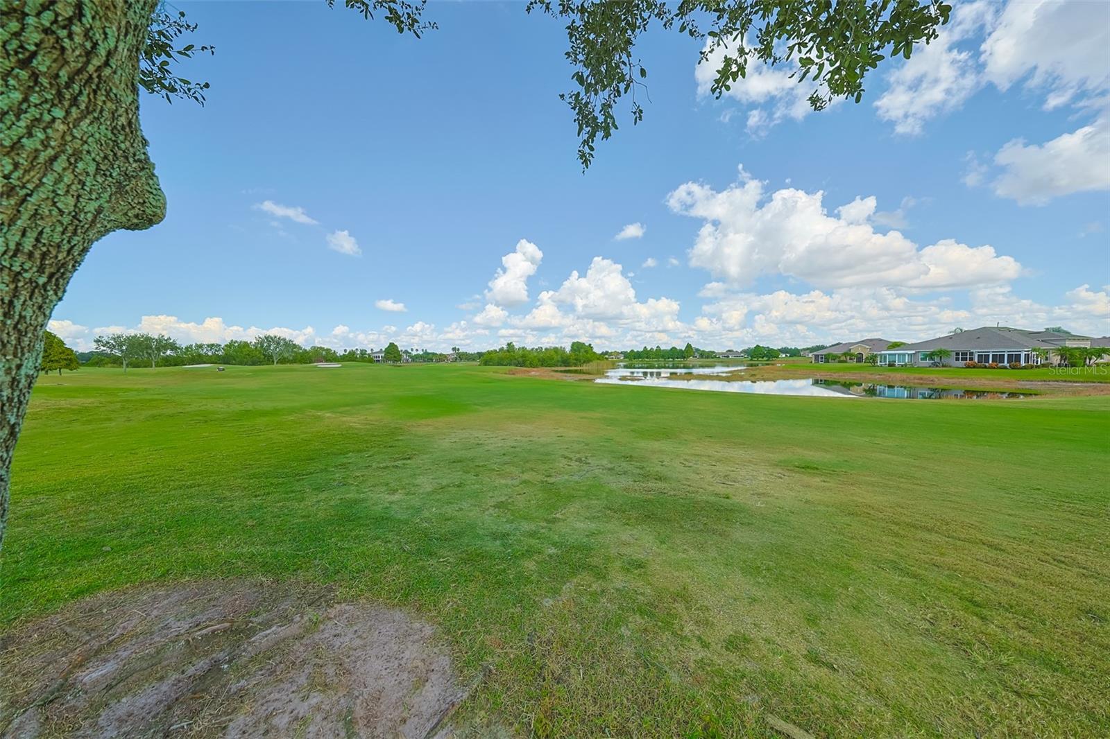 Image 45 of 75 For 2264 Sifield Greens Way