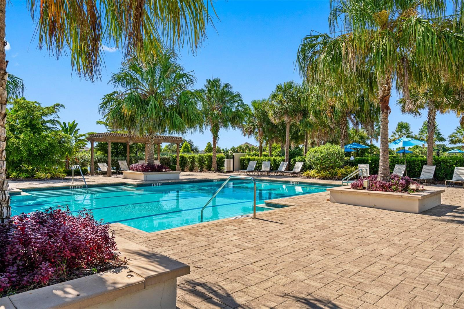 Listing photo id 45 for 5822 Silver Sun Drive