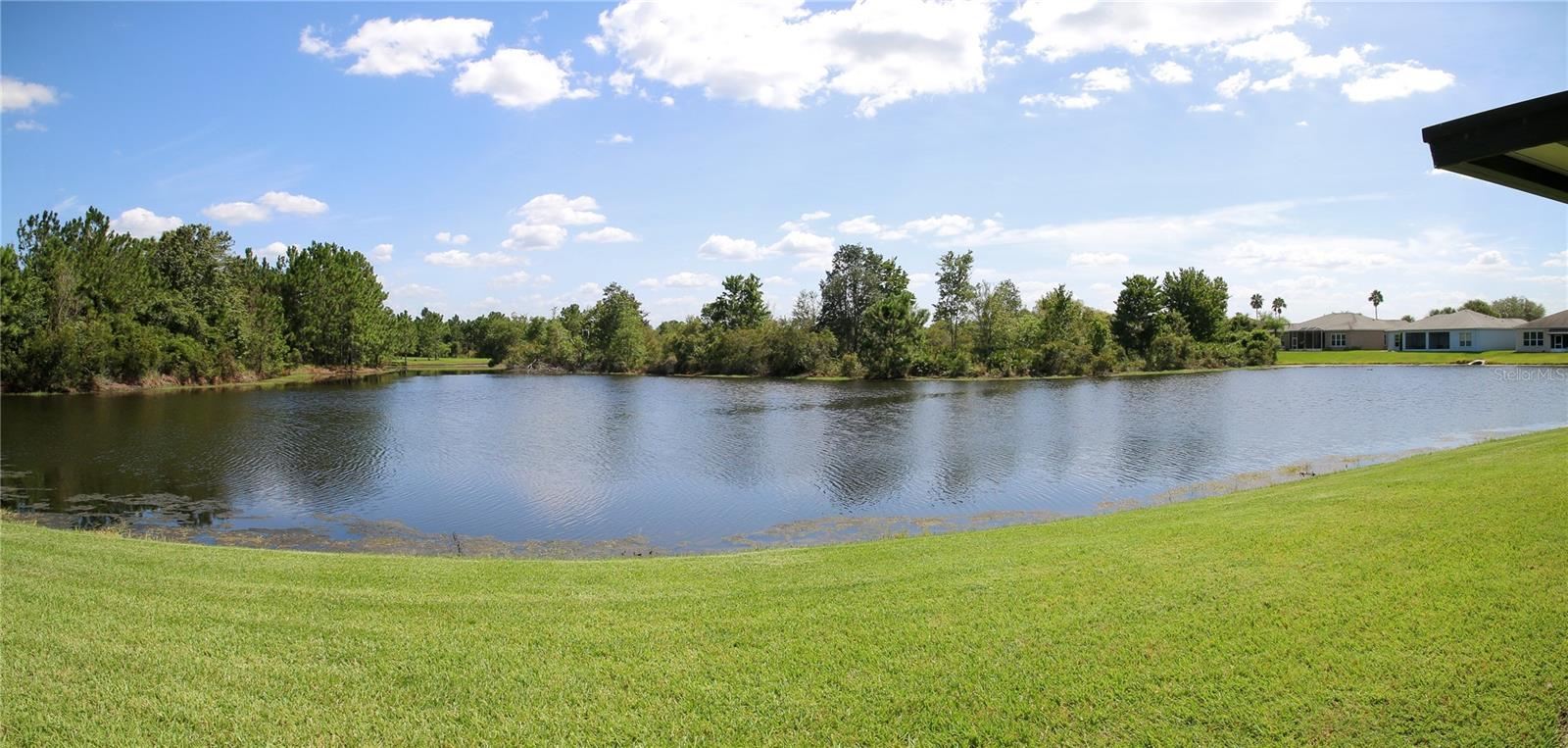 Image 97 of 100 For 10242 Chatuge Drive