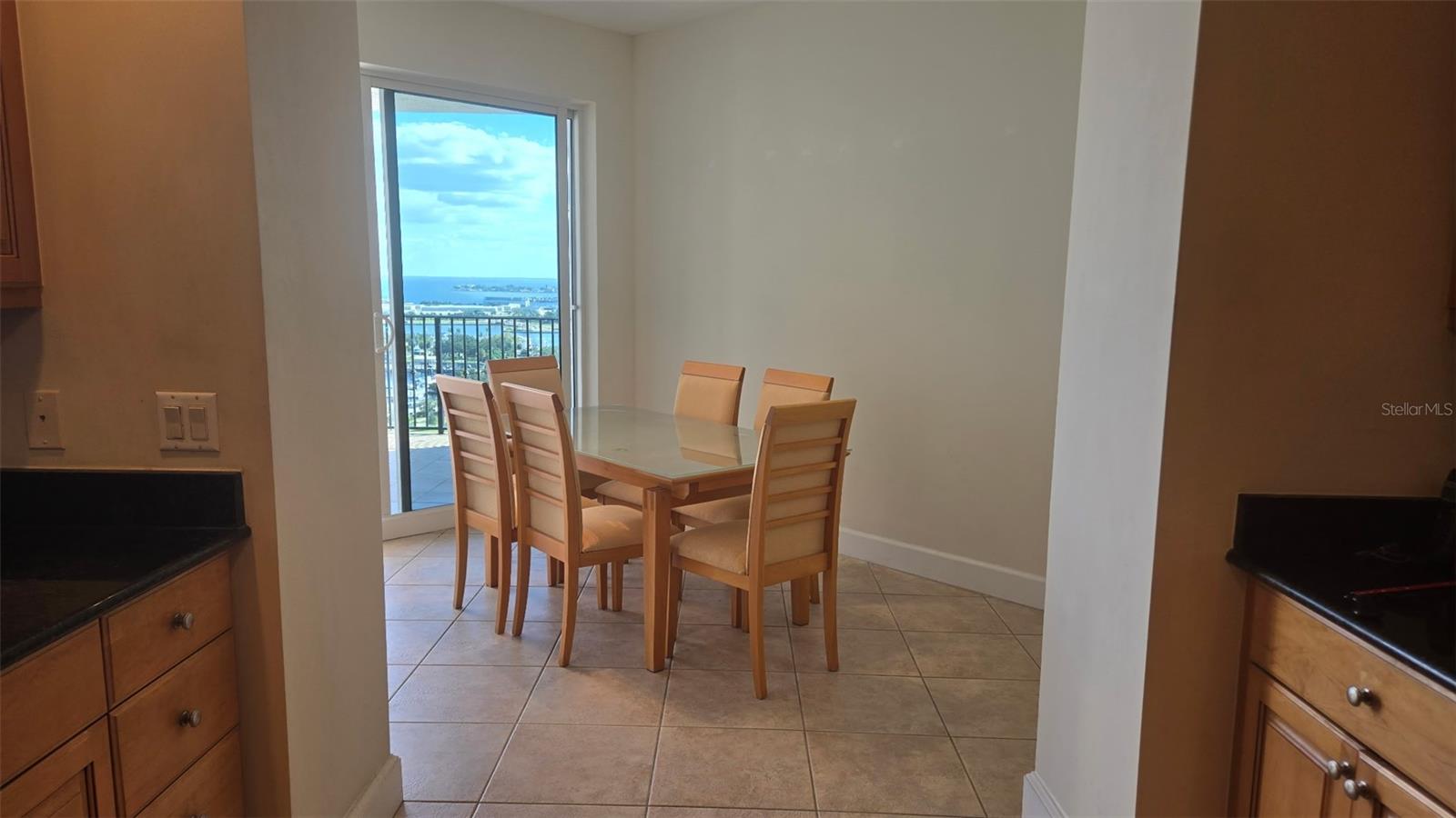 Listing photo id 9 for 300 Beach Drive Ne 1604